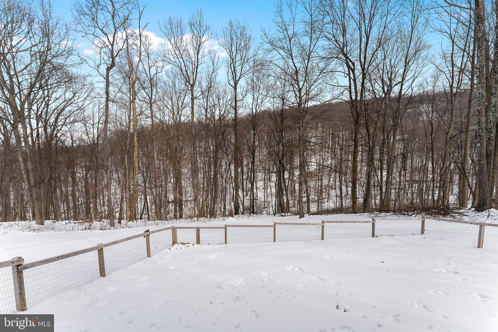250 Ridge Top Lane Linden, VA 22642 - Photo 31 of 31 Fenced In Backyard