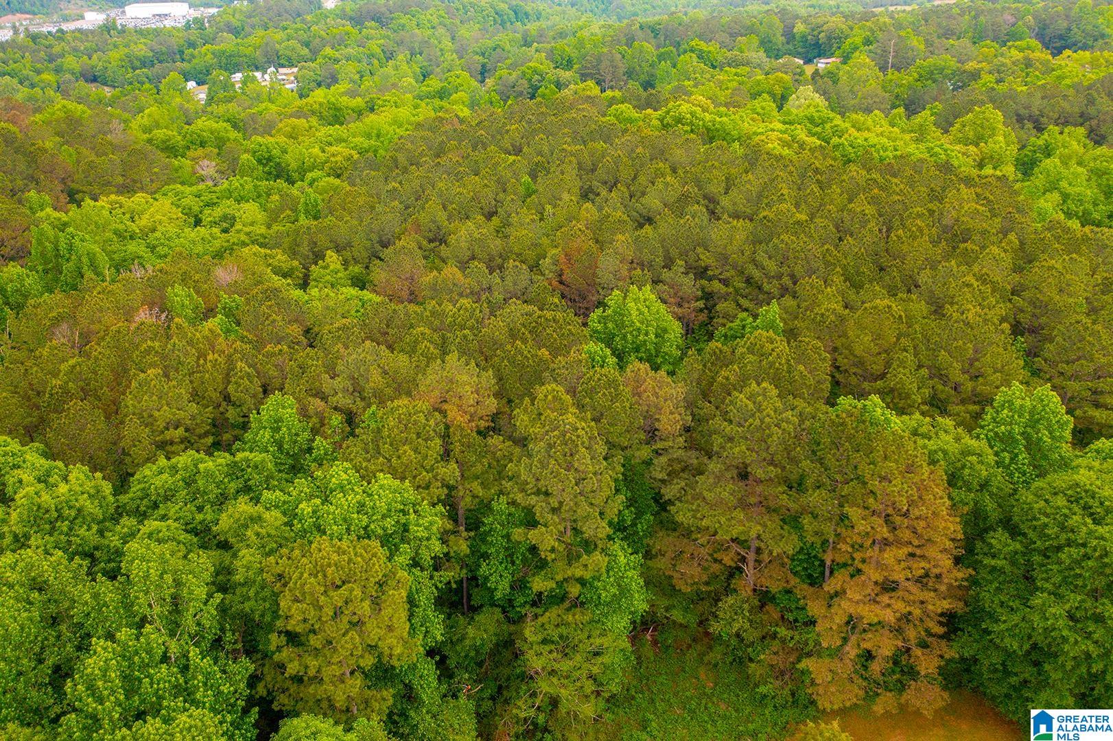 0 Spunky Hollow Road, Unit 1 Trafford, AL 35172 - Photo 16 of 18