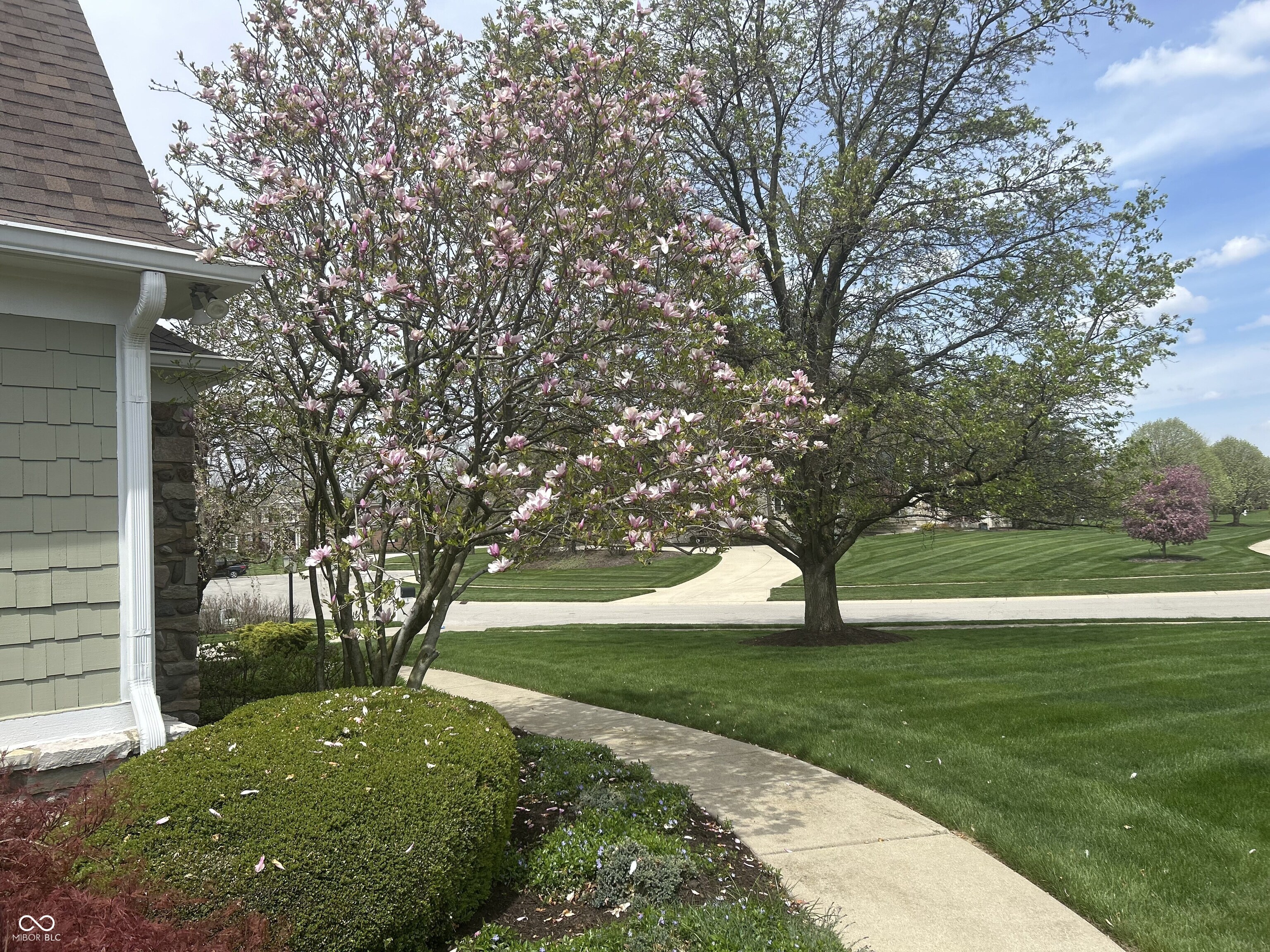 8 Shannon Road Zionsville, IN 46077 - Photo 59 of 65