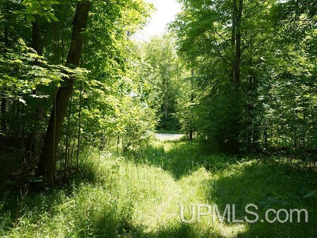19110 West Diller Road Germfask, MI 49836 - Photo 22 of 28