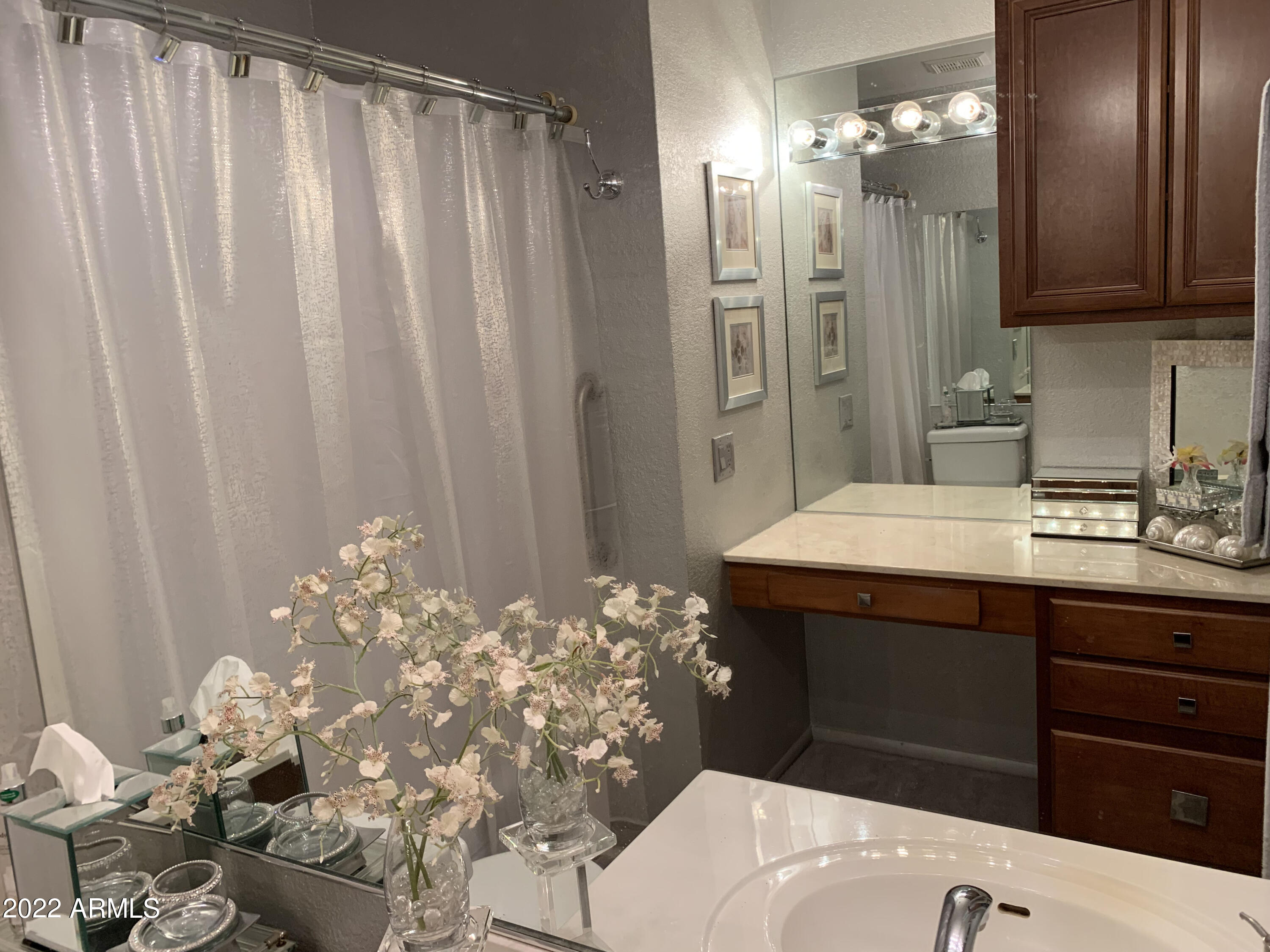 14300 West Bell Road, Unit 481 Surprise, AZ 85374 - Photo 13 of 13 Mirror shot of Vanity