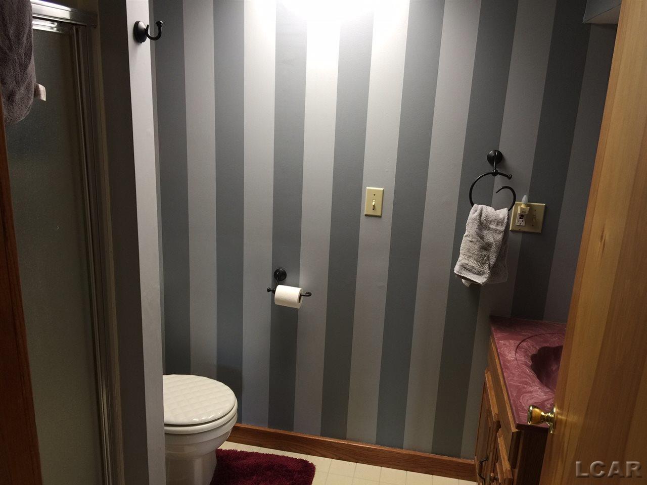 14325 Ames Road Hudson, MI 49247 - Photo 22 of 22 31316860-21.JPG