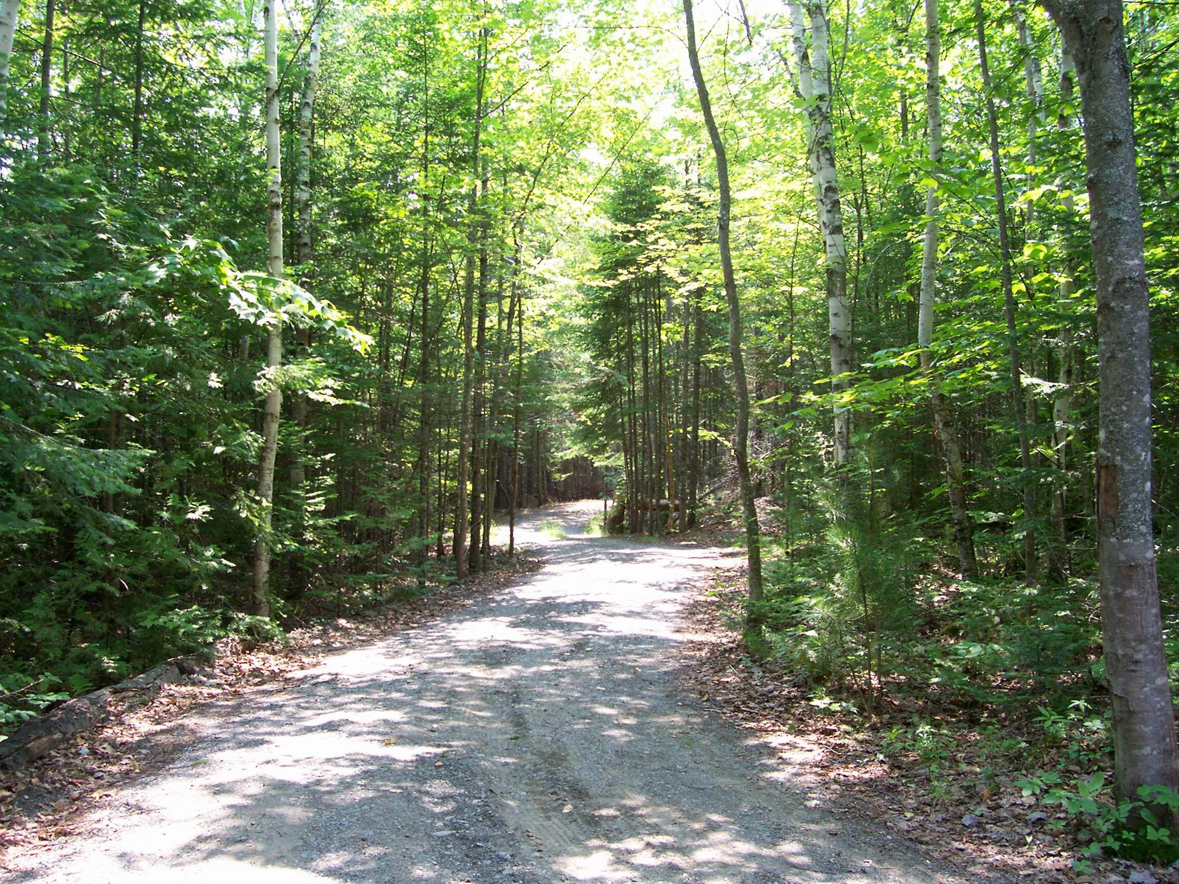 280 Greenwood Pond Road Guilford, ME 04443 - Photo 39 of 39