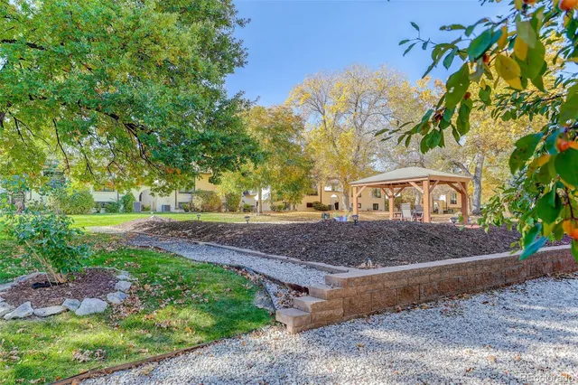 a view of a yard with an tree