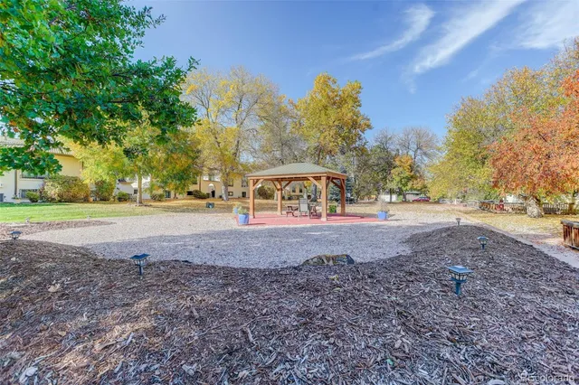 a view of dirt field with large trees