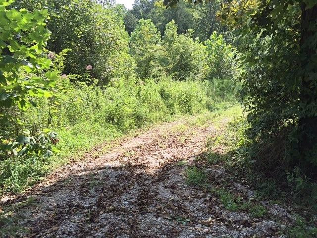 4186 Dal Road Williamsburg, KY 40769 - Photo 15 of 16 Photo 15