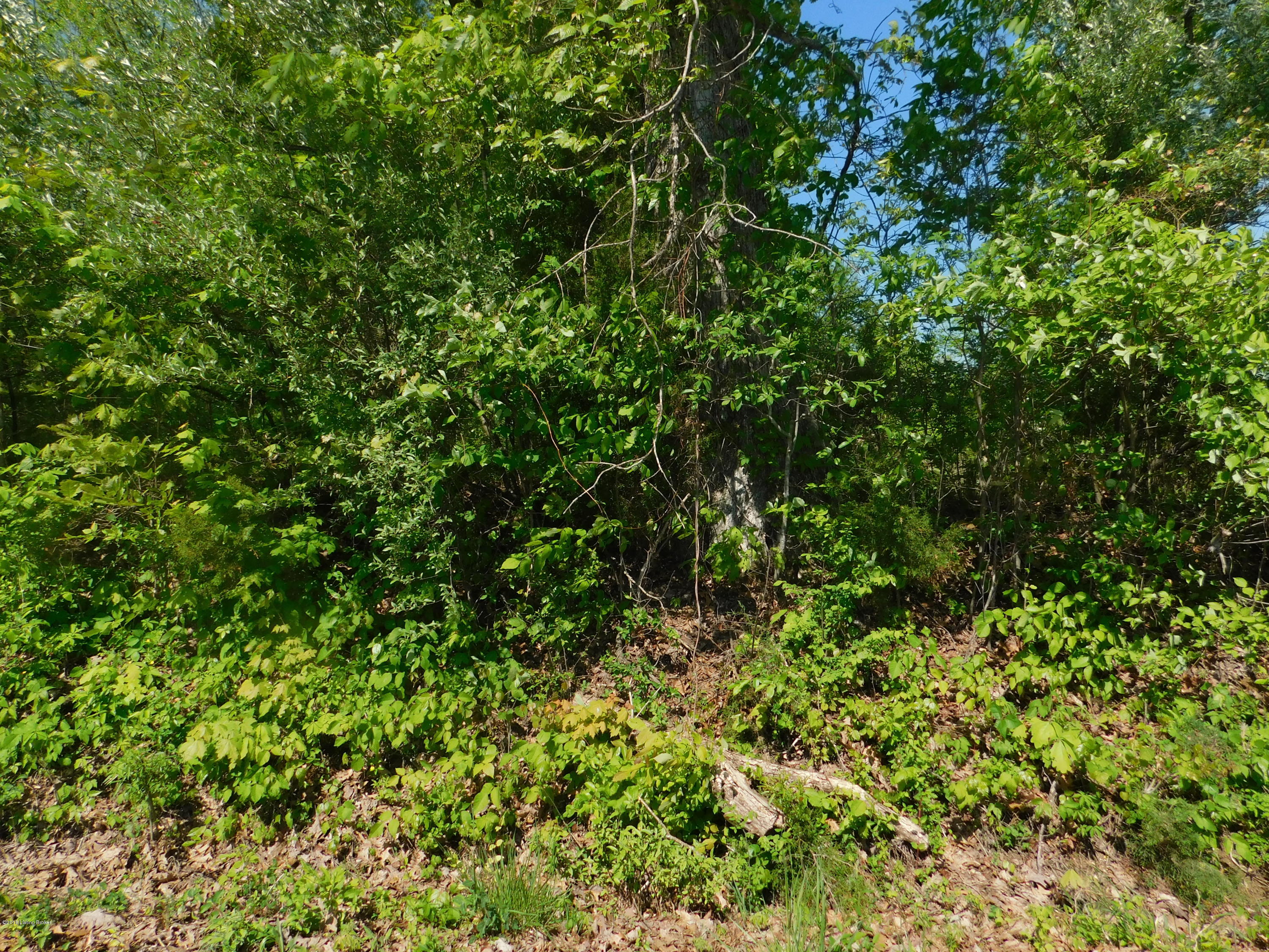 0 Tickridge Road Falls Of Rough, KY 40119 - Photo 3 of 3 004