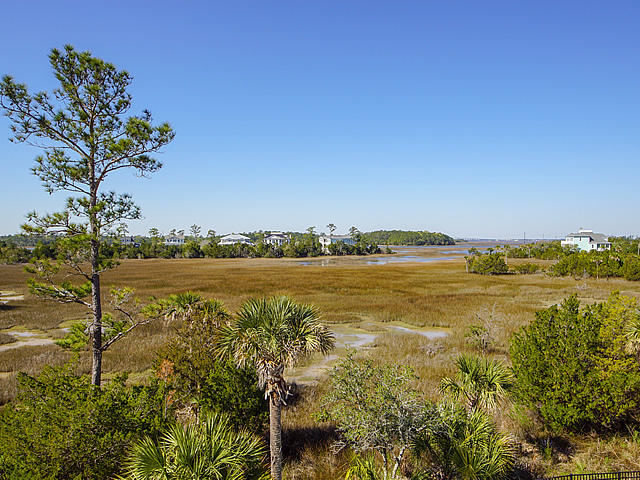 1524 Red Drum Road Mount Pleasant, SC 29466 - Photo 42 of 47 1524 Red Drum 35