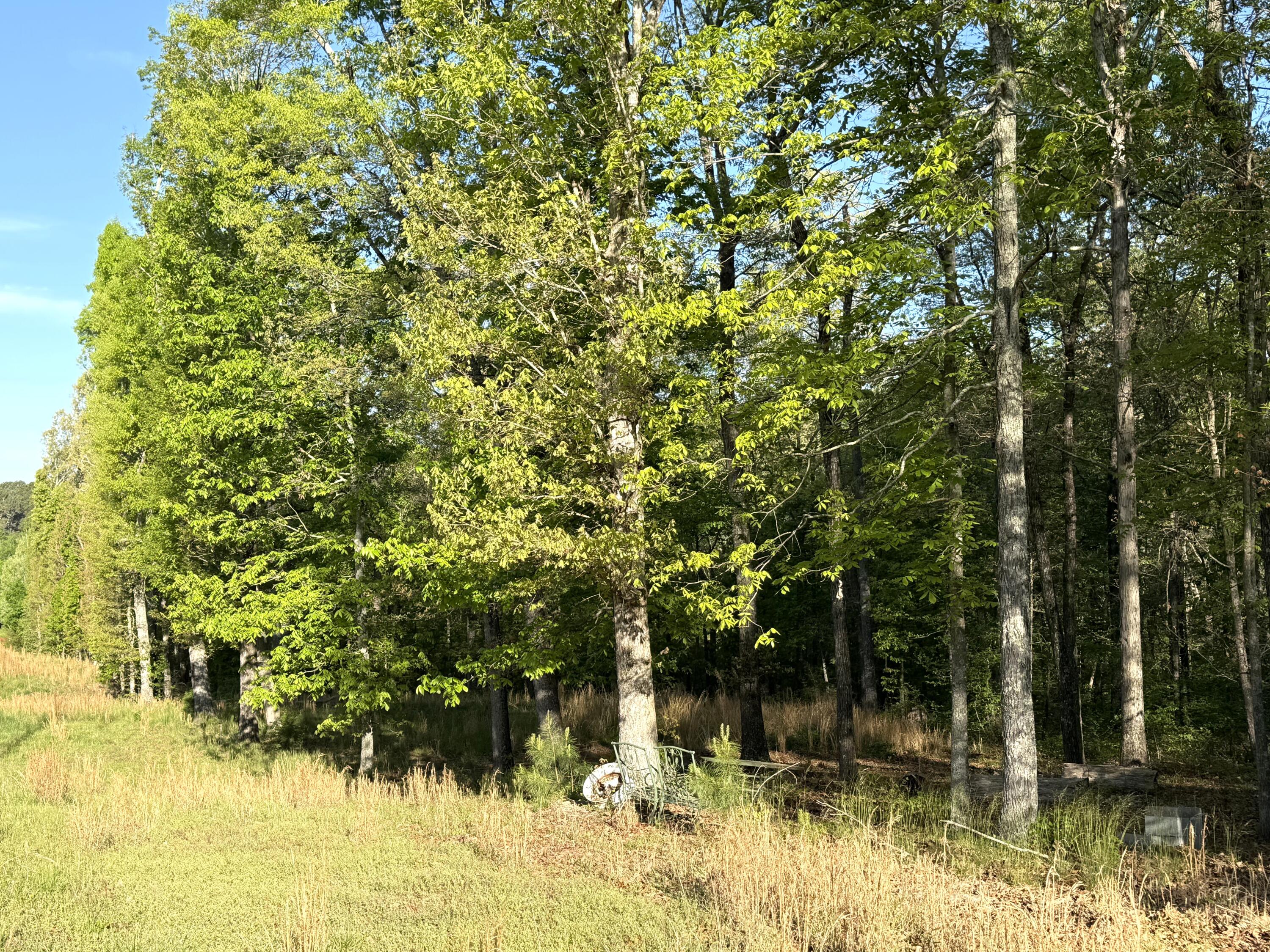 675 Lee Mason Road LaFayette, GA 30728 - Photo 2 of 10 IMG_5386