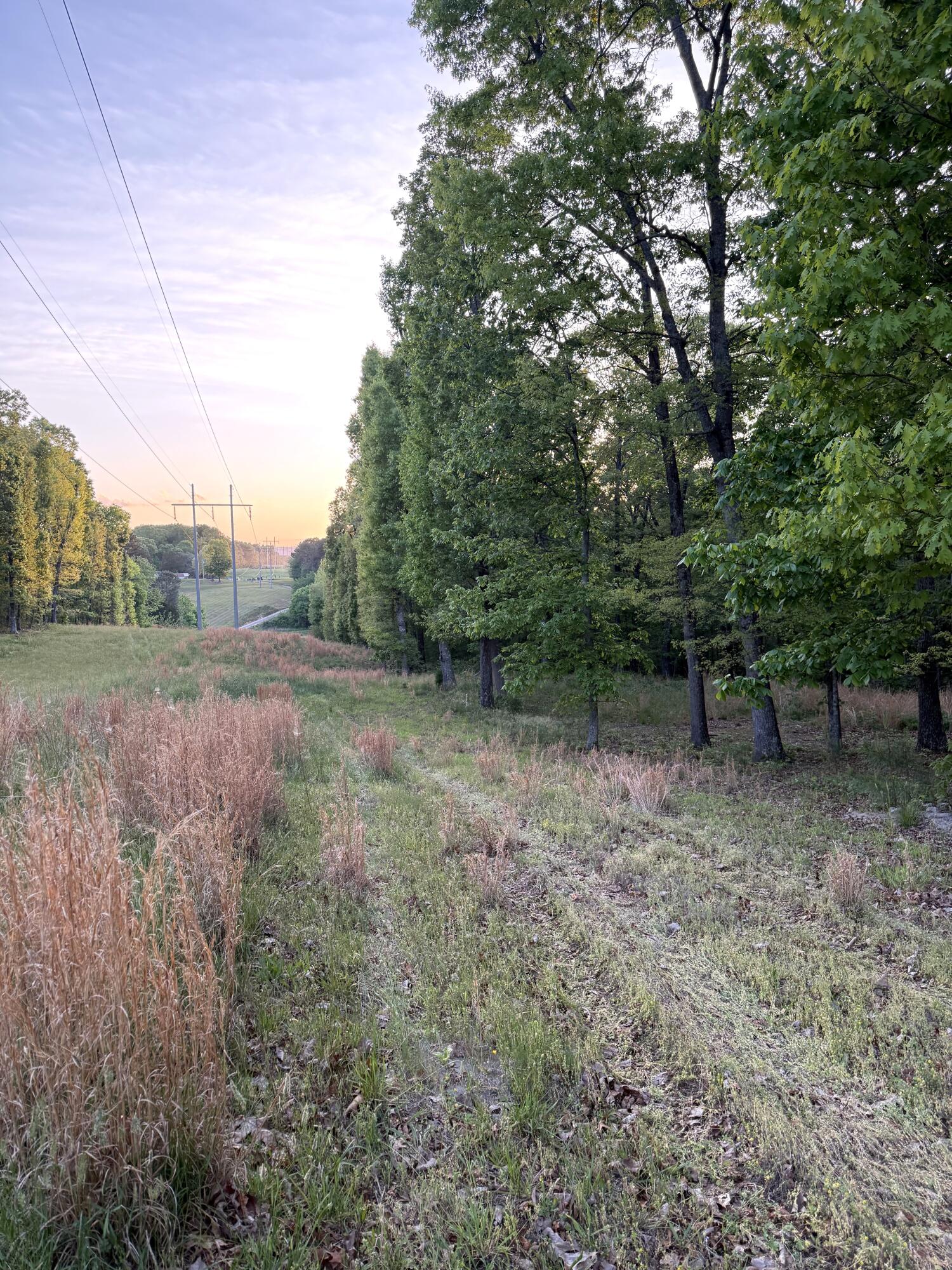 675 Lee Mason Road LaFayette, GA 30728 - Photo 3 of 10 IMG_5514