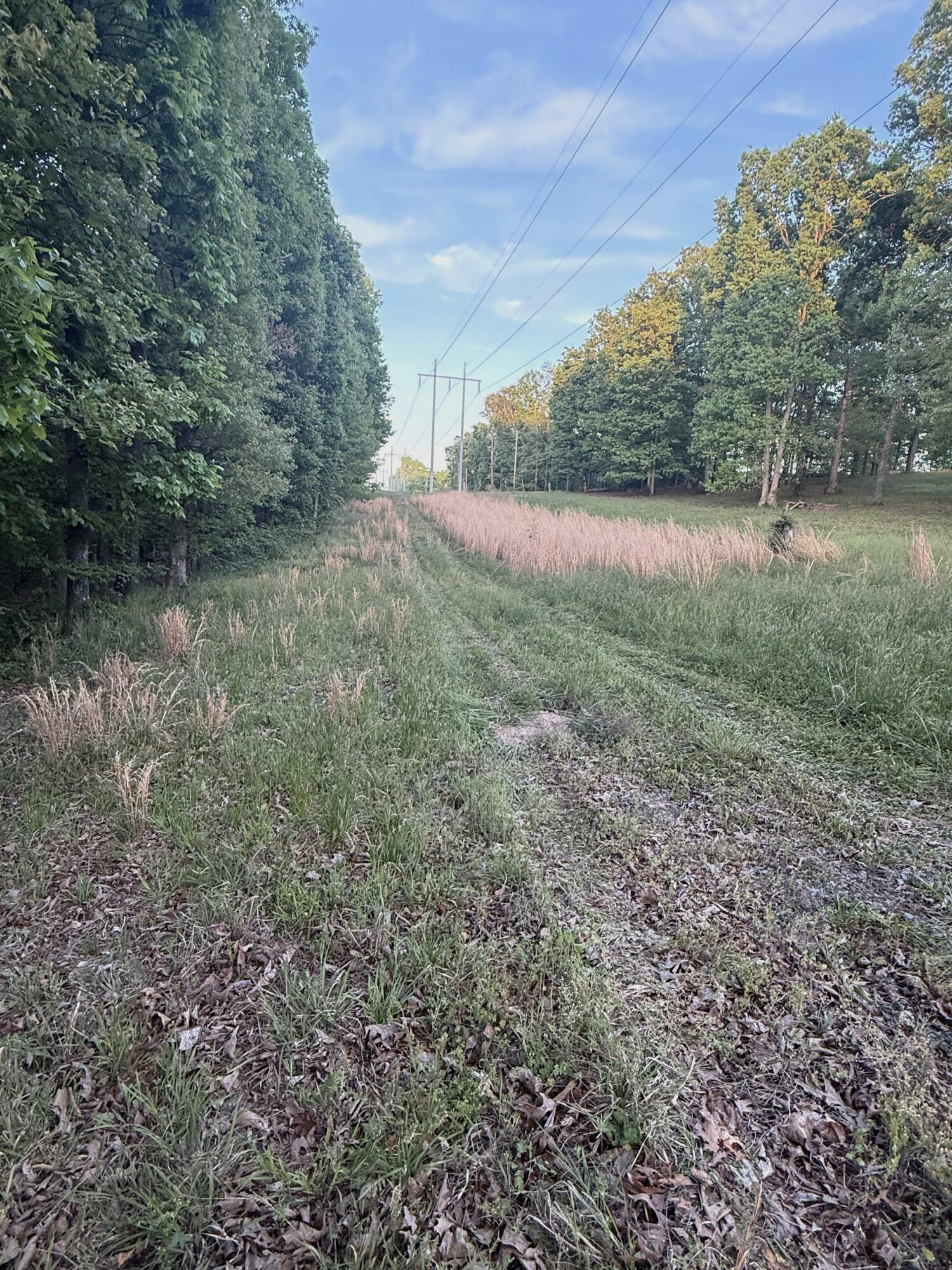 675 Lee Mason Road LaFayette, GA 30728 - Photo 4 of 10 IMG_5508