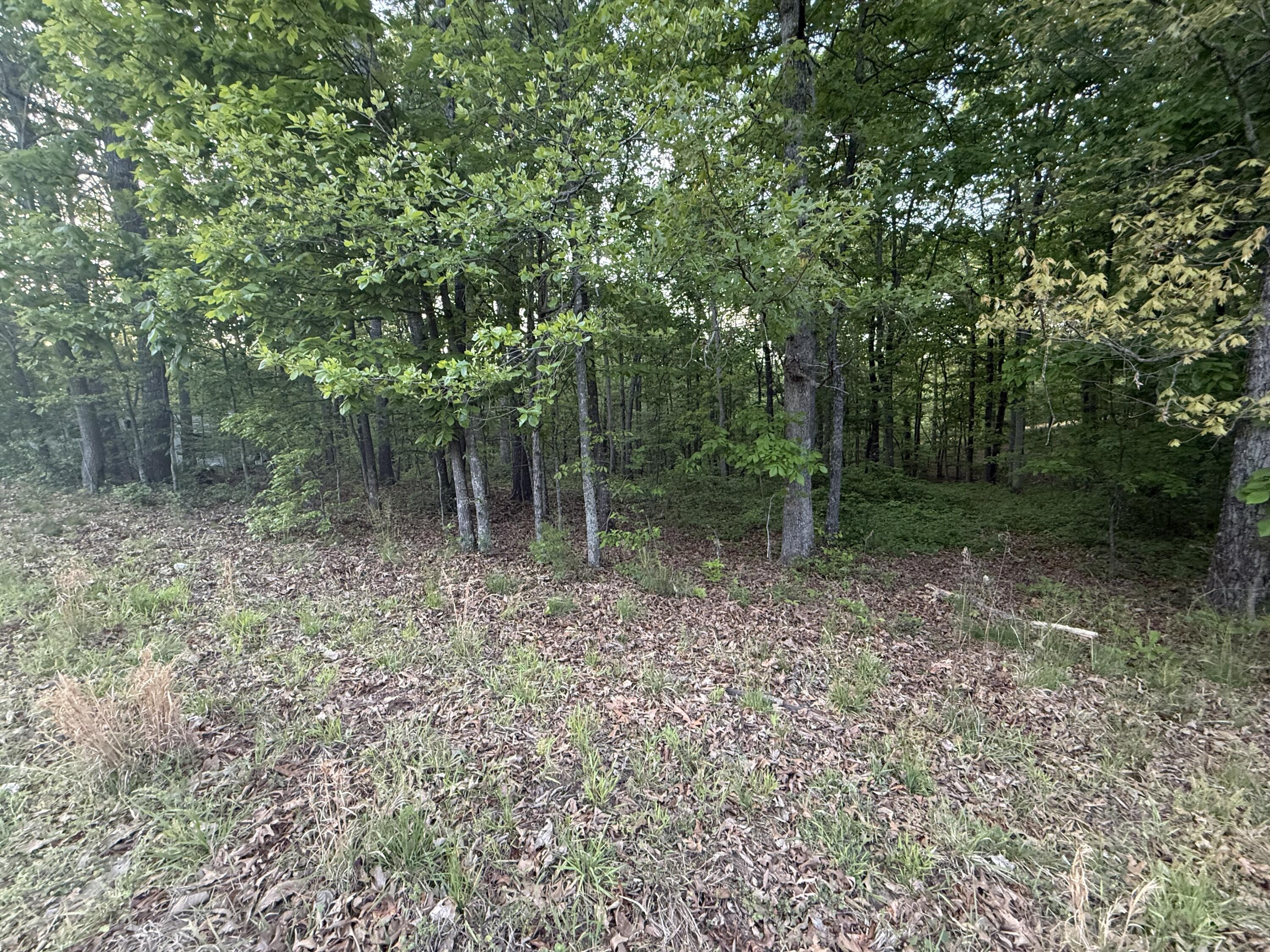 675 Lee Mason Road LaFayette, GA 30728 - Photo 5 of 10 IMG_5509