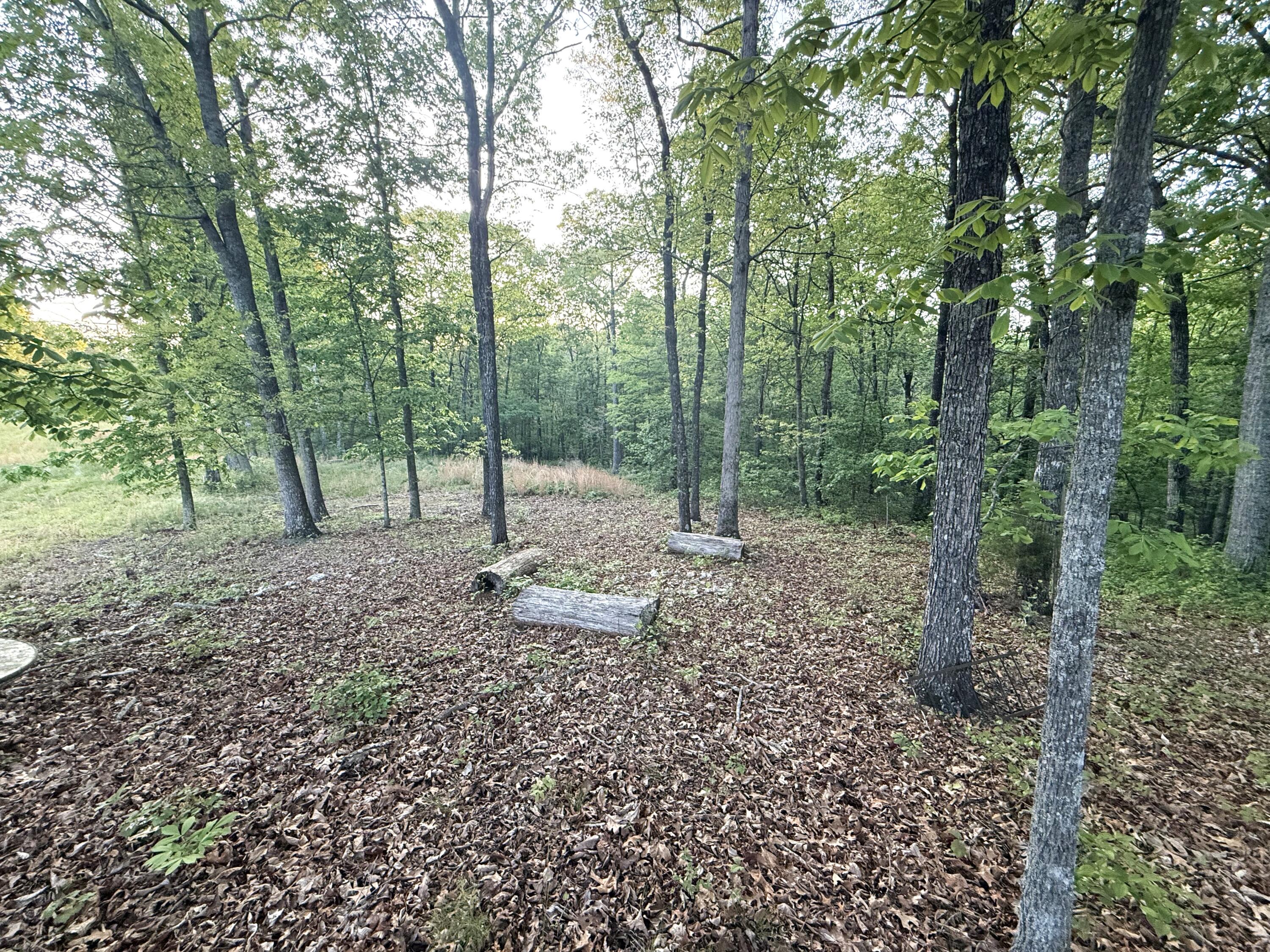 675 Lee Mason Road LaFayette, GA 30728 - Photo 6 of 10 IMG_5510