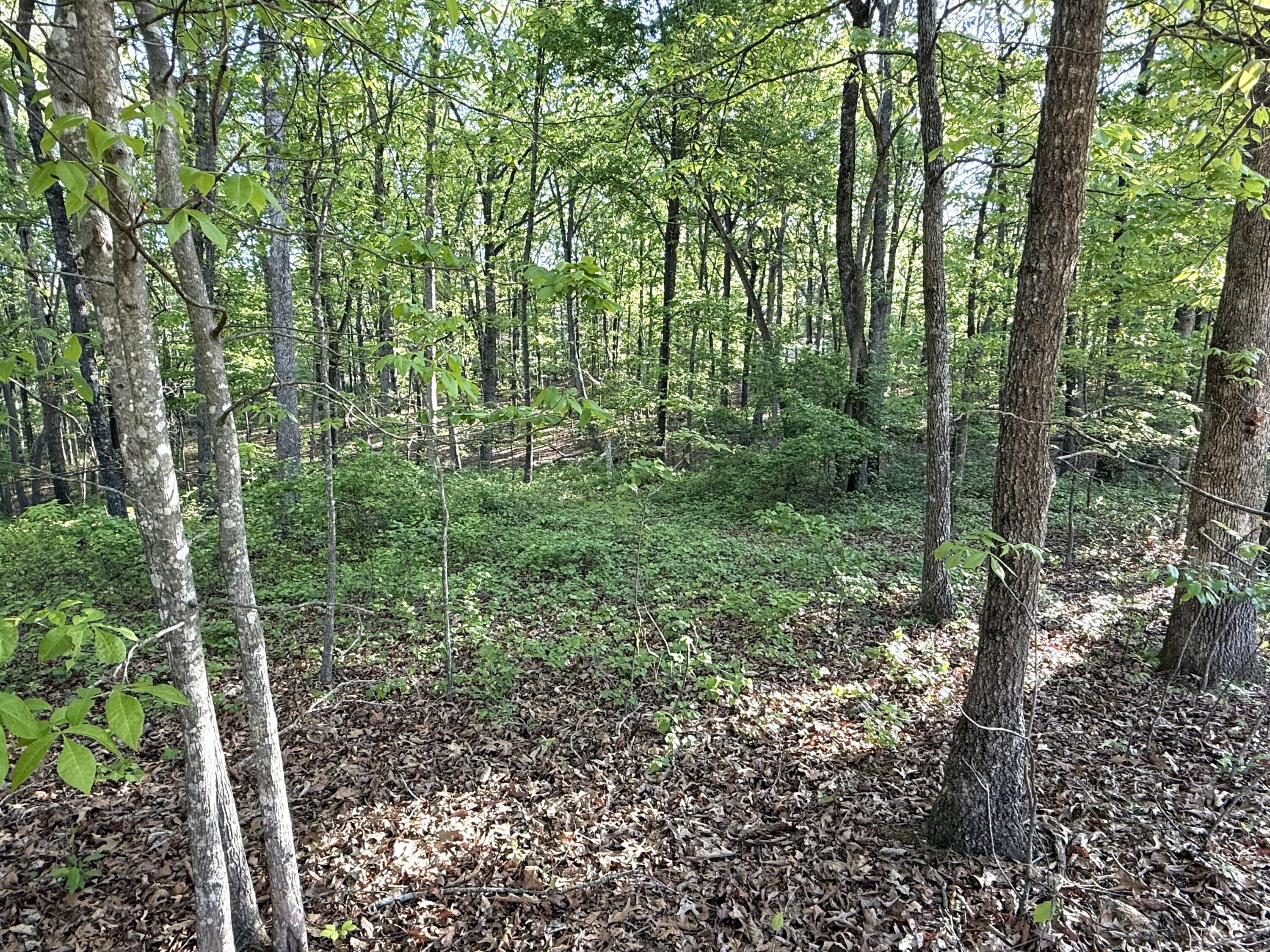 675 Lee Mason Road LaFayette, GA 30728 - Photo 8 of 10 IMG_5387