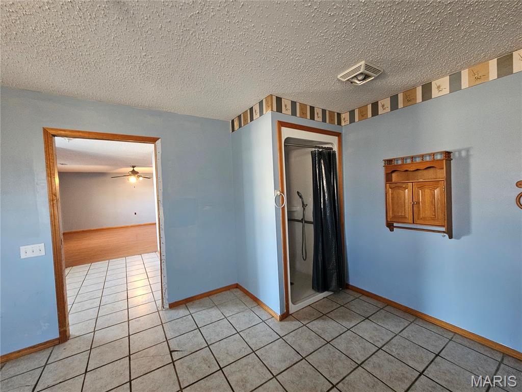 9126 Baldwin Road Baldwin, IL 62217 - Photo 21 of 31