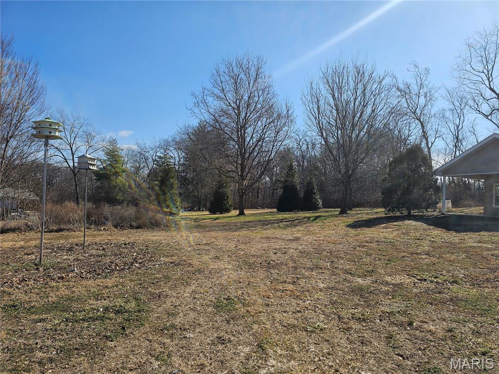 9126 Baldwin Road Baldwin, IL 62217 - Photo 3 of 31