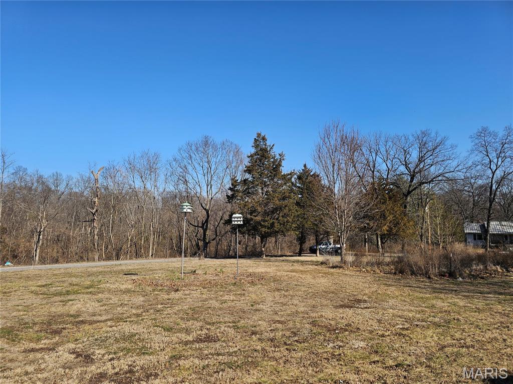 9126 Baldwin Road Baldwin, IL 62217 - Photo 5 of 31