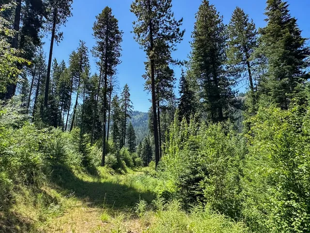 $3,300,000 | 5110 Highway 95, New Meadows, ID 83654
