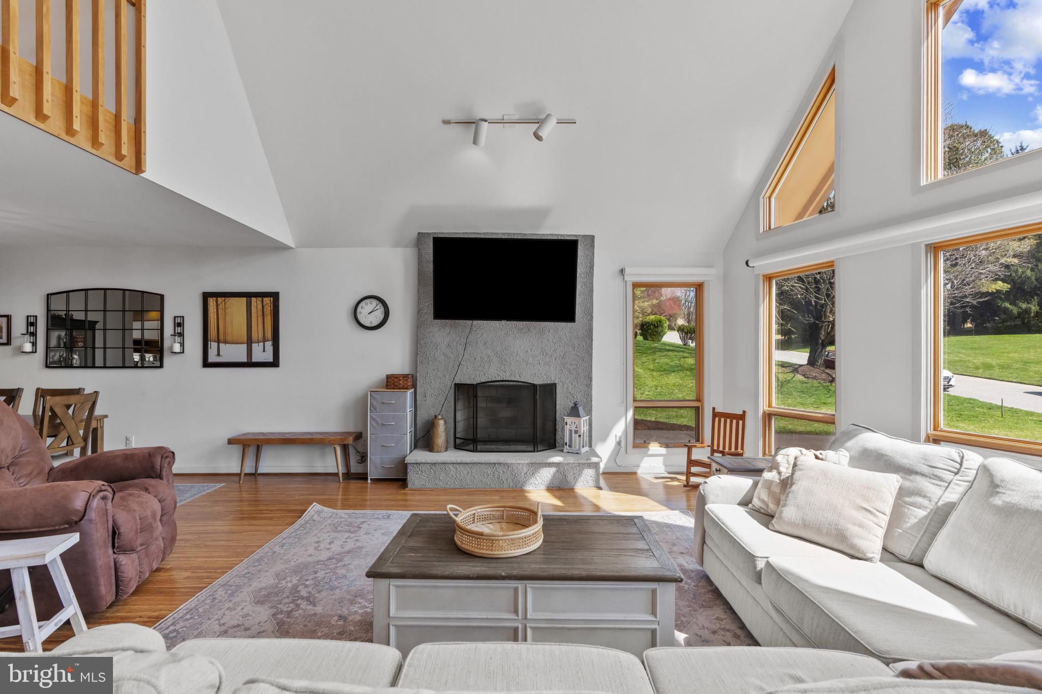40 Raphael Road Hockessin, DE 19707 - Photo 7 of 53 Wood Burning Fireplace