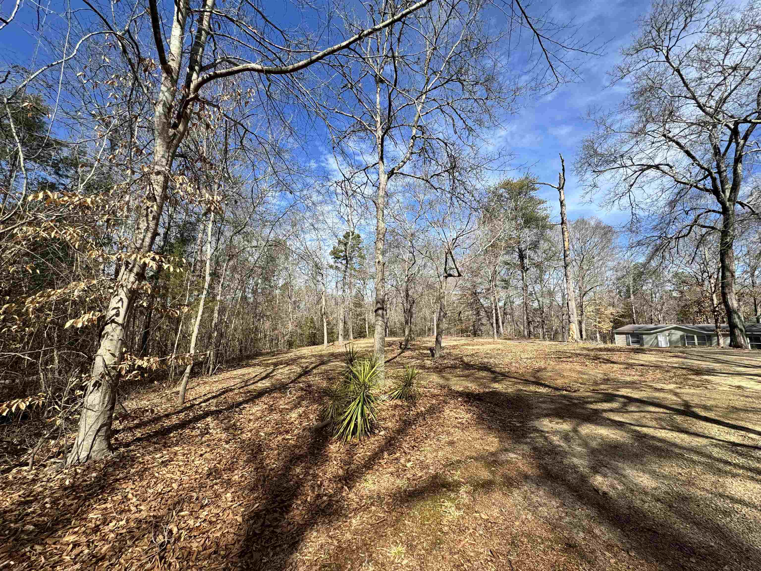 262 Geddy Road Gray Court, SC 29645 - Photo 29 of 39