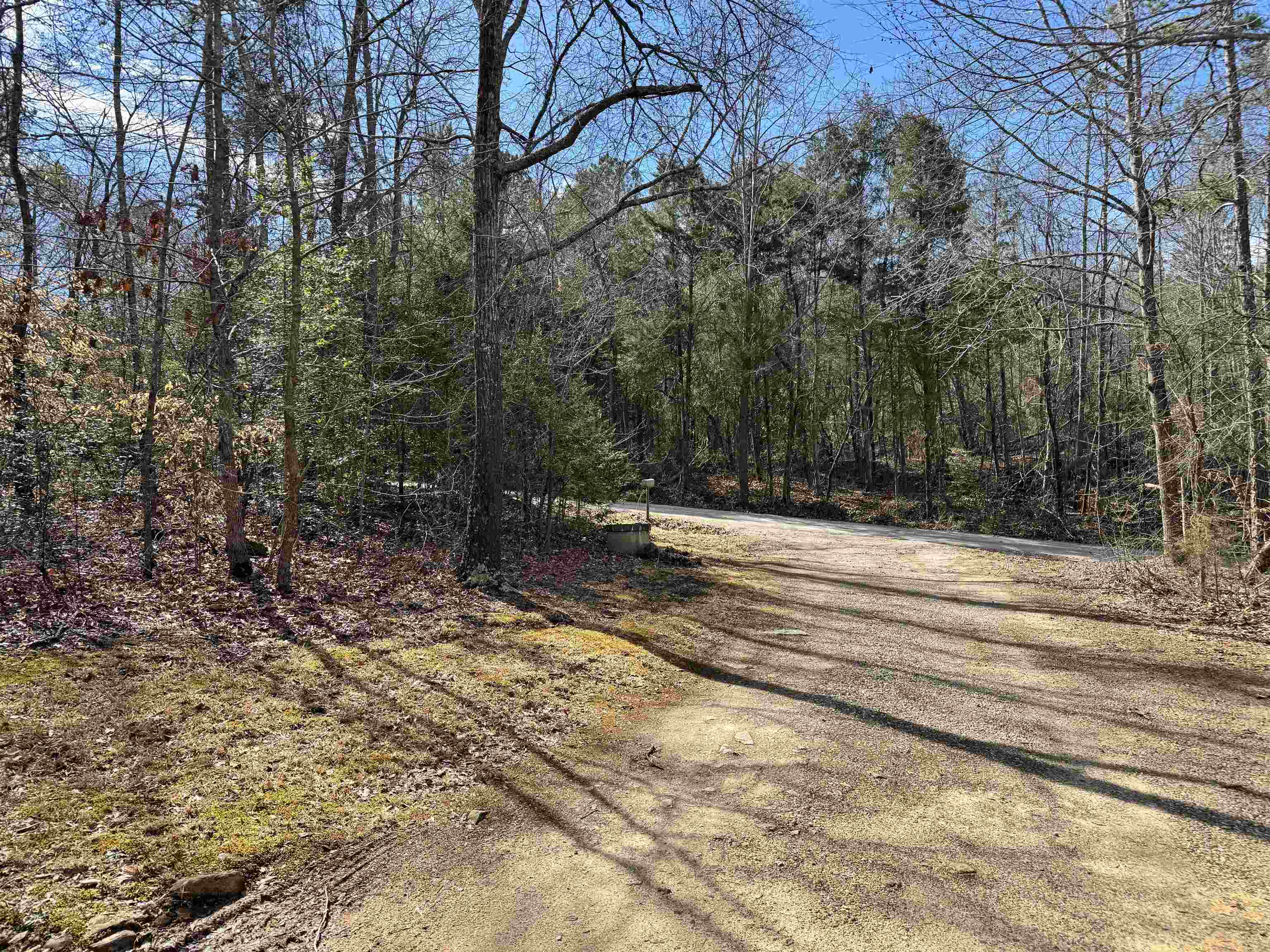 262 Geddy Road Gray Court, SC 29645 - Photo 3 of 39