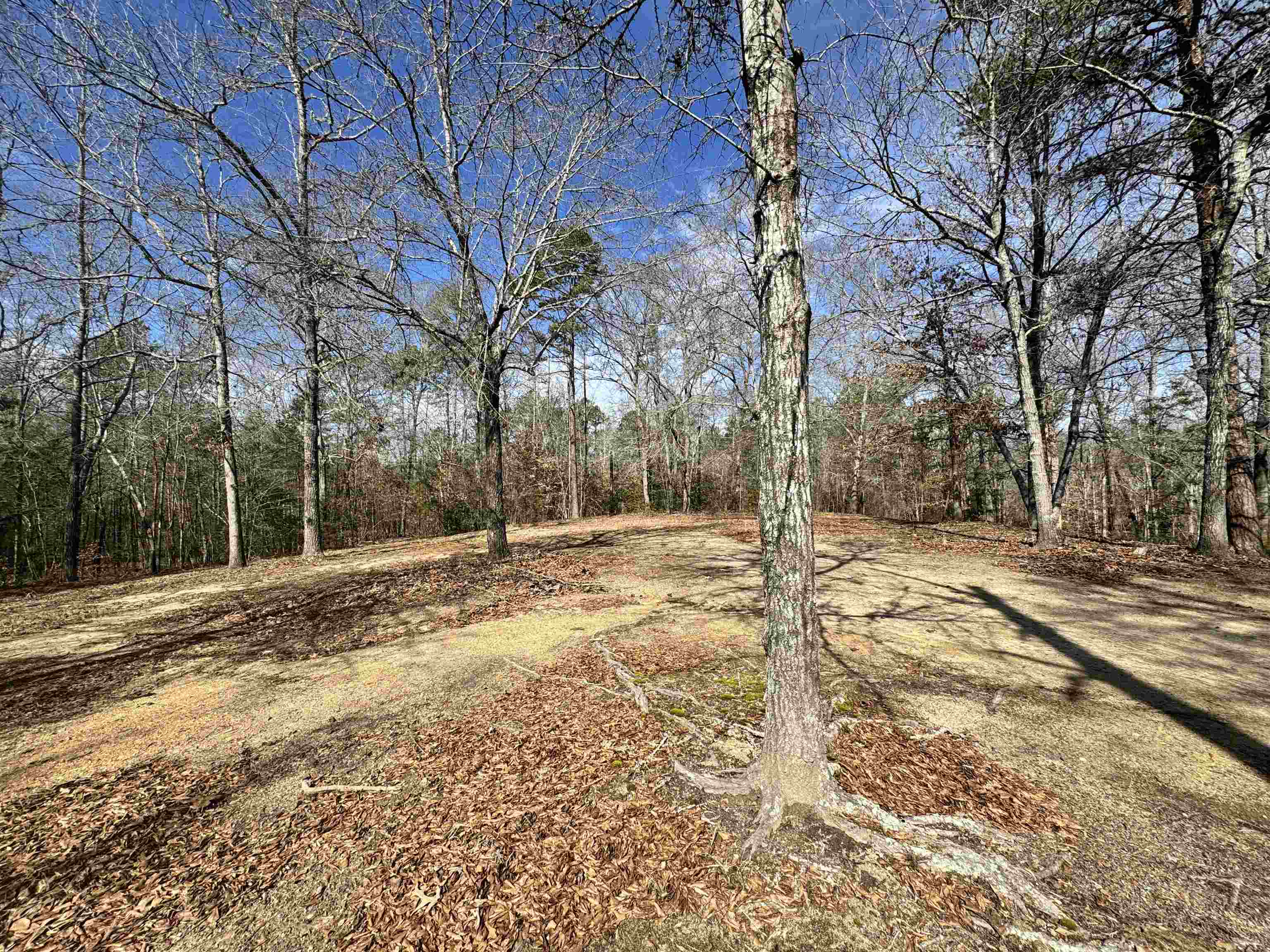 262 Geddy Road Gray Court, SC 29645 - Photo 34 of 39