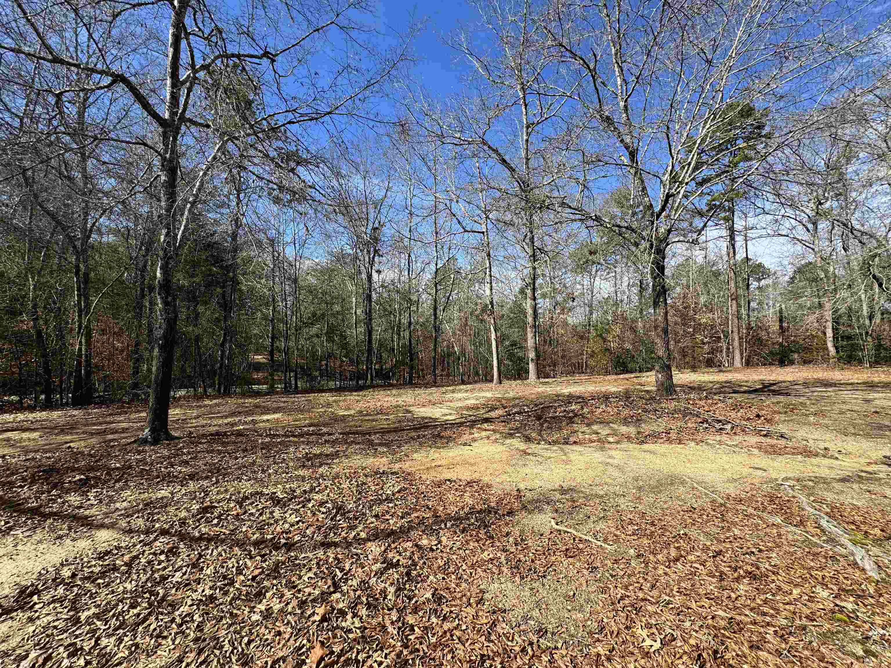 262 Geddy Road Gray Court, SC 29645 - Photo 35 of 39