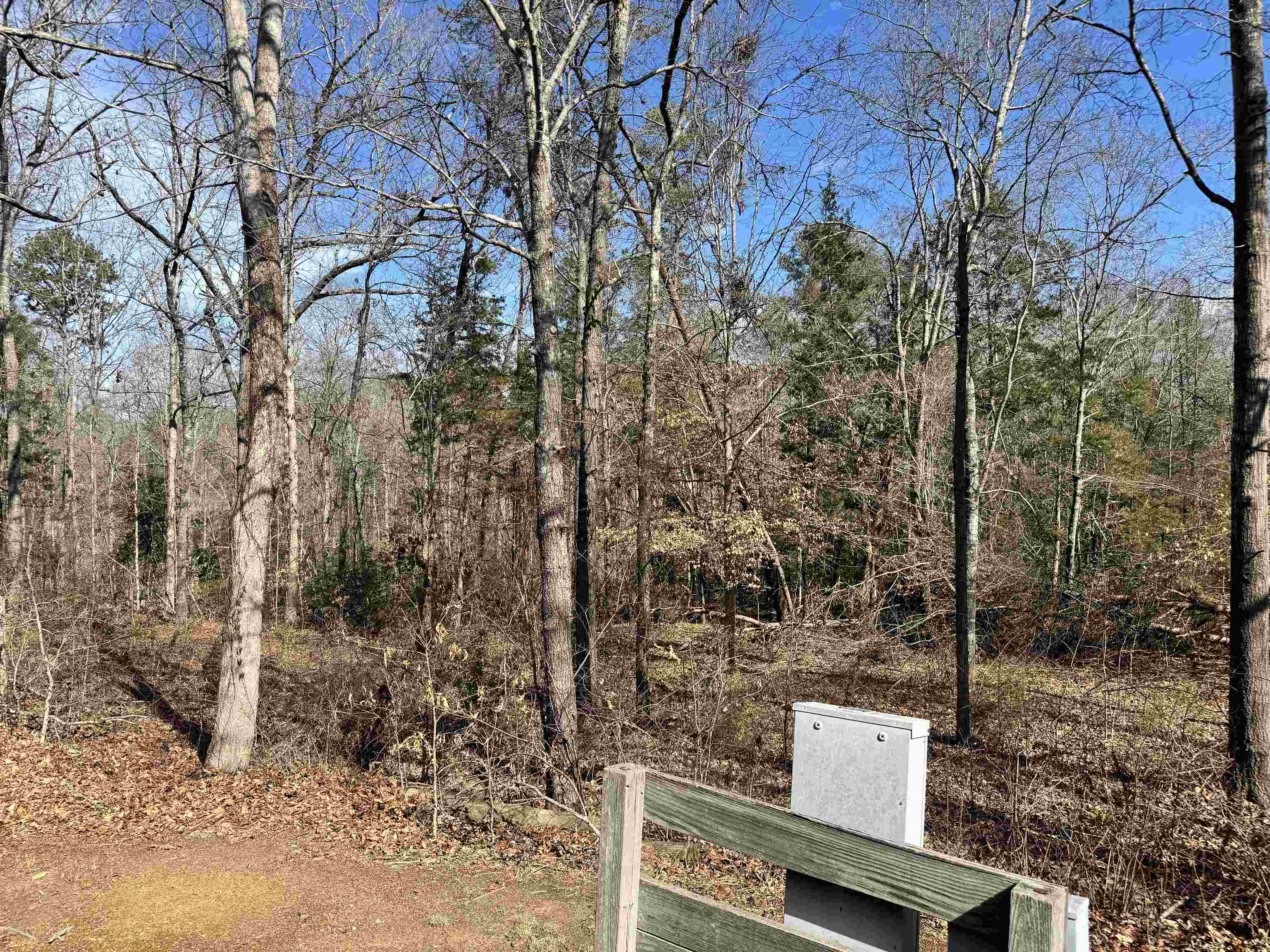 262 Geddy Road Gray Court, SC 29645 - Photo 4 of 39