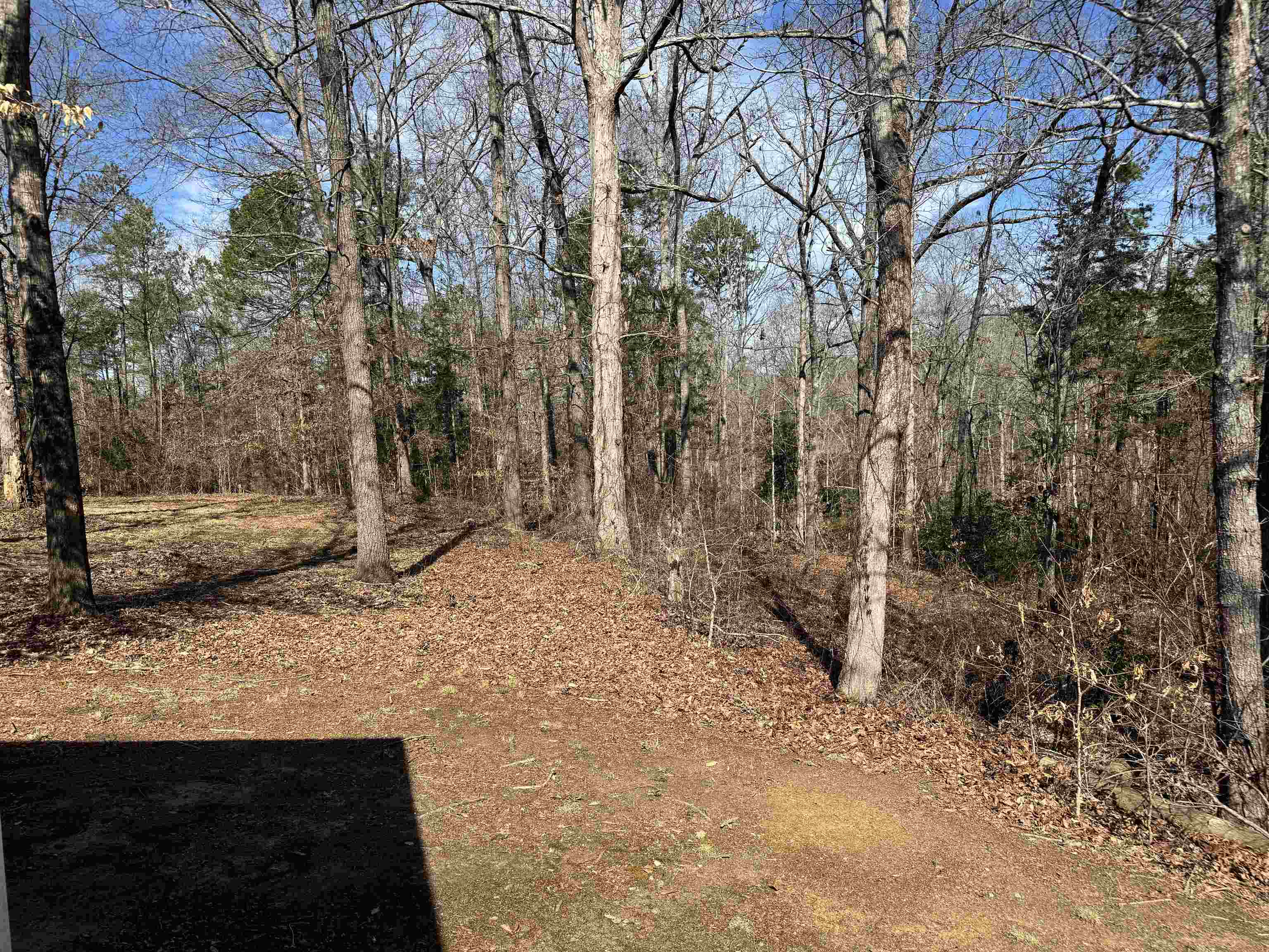 262 Geddy Road Gray Court, SC 29645 - Photo 5 of 39