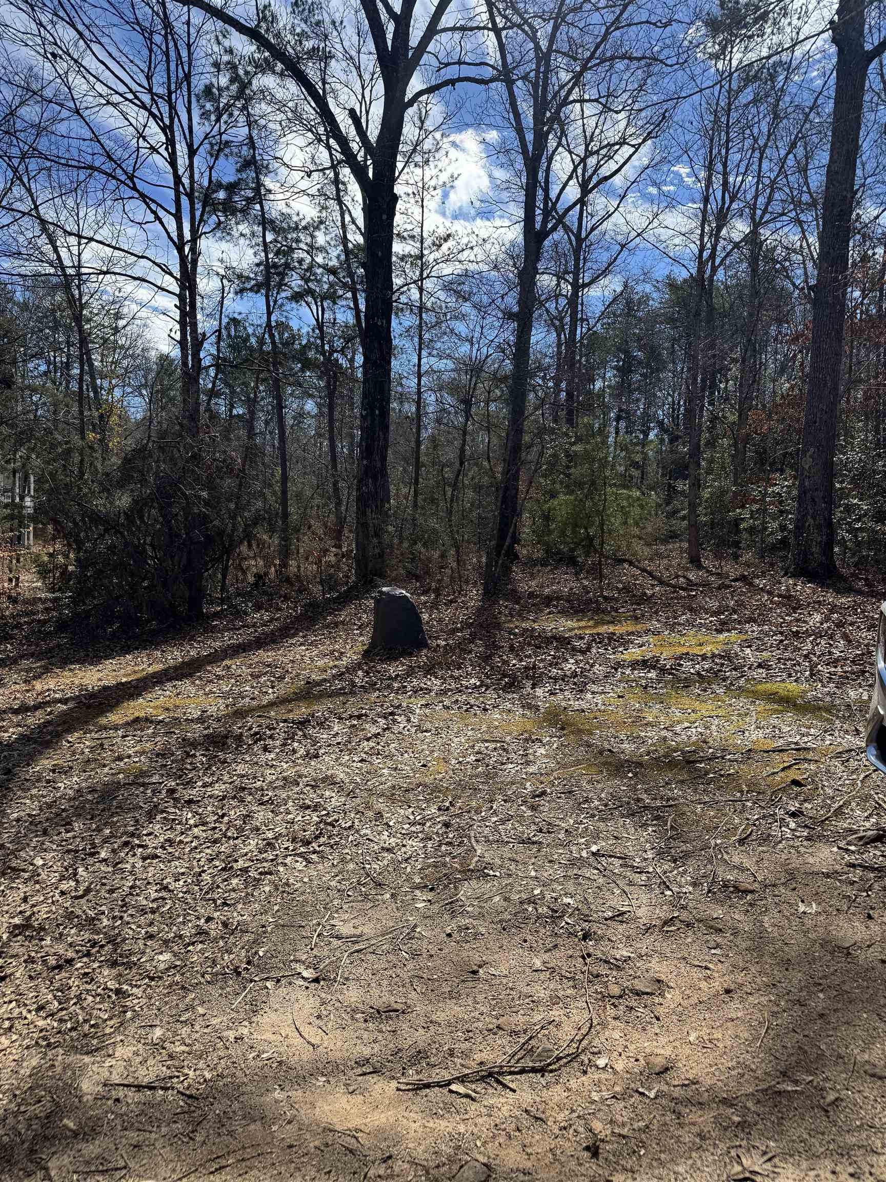 262 Geddy Road Gray Court, SC 29645 - Photo 6 of 39