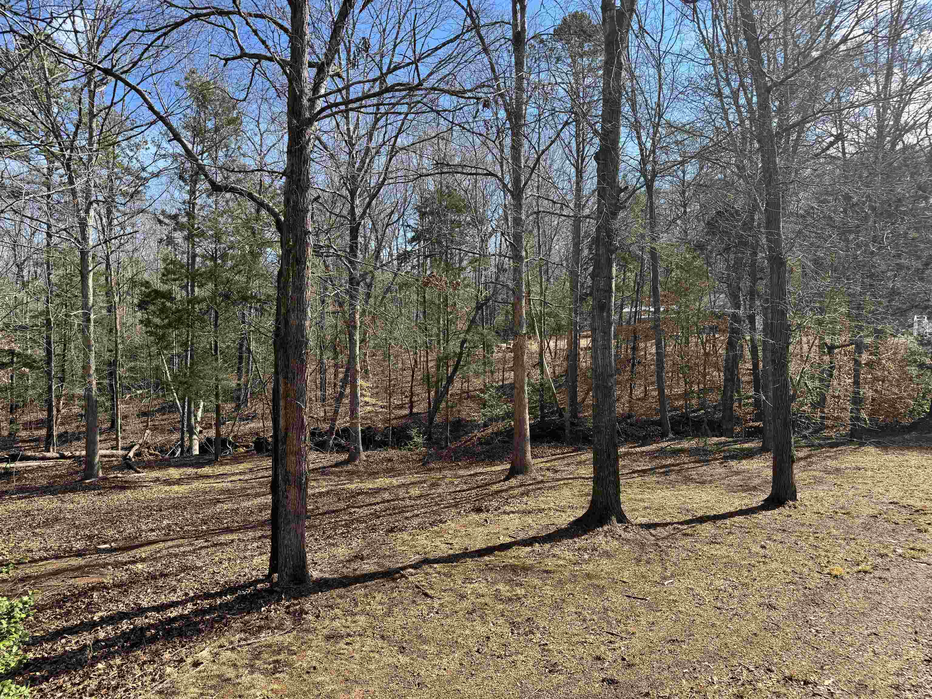 262 Geddy Road Gray Court, SC 29645 - Photo 7 of 39