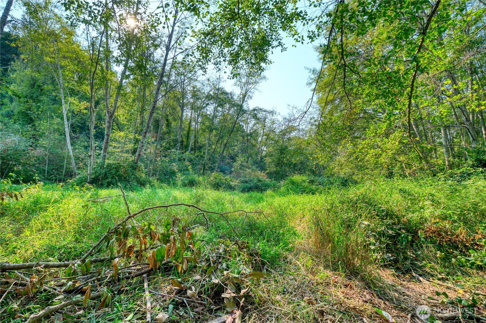 0 3.73 Acres Derby Ave Point Point Roberts, WA 98281 - Photo 13 of 18