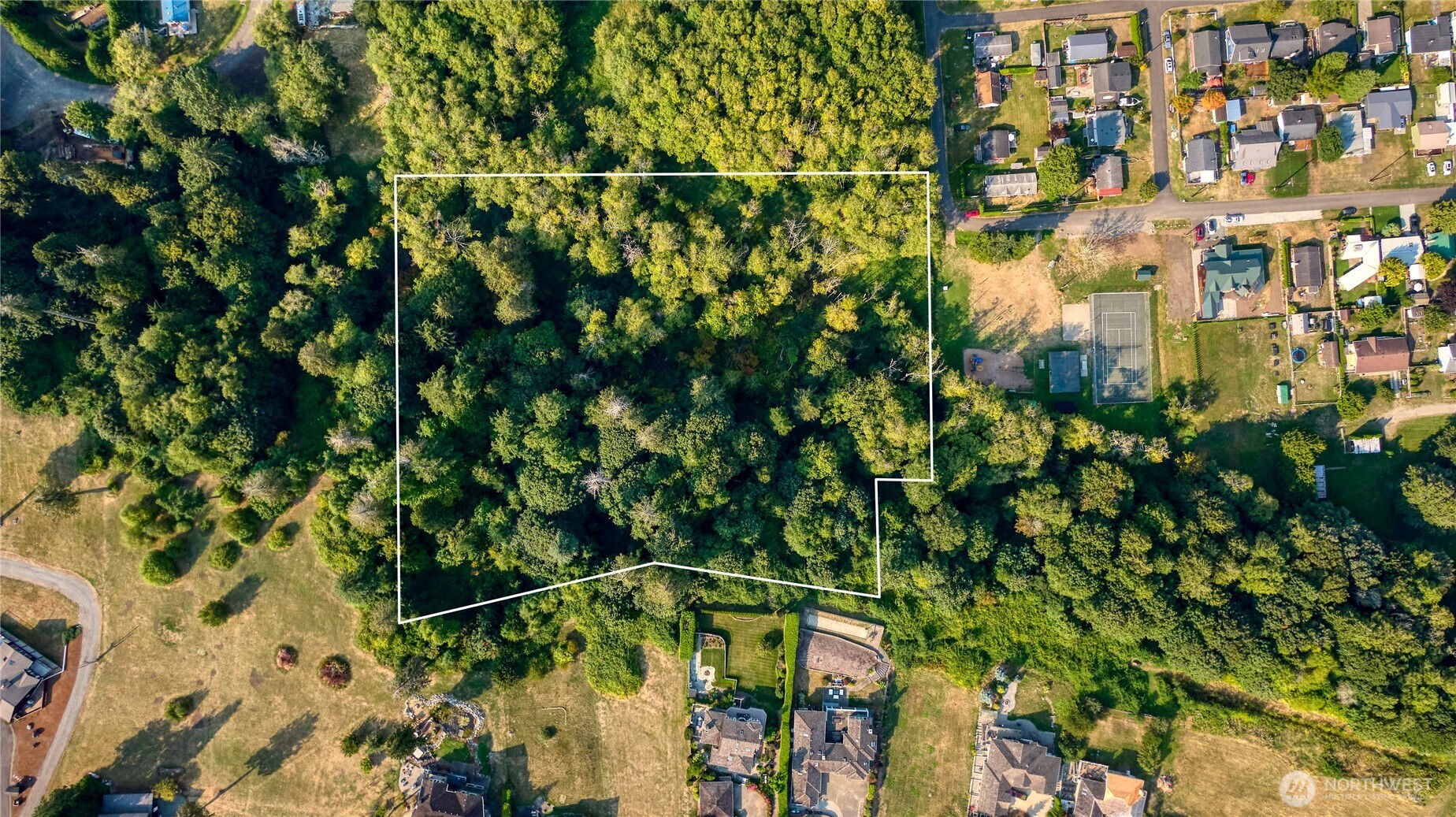 0 3.73 Acres Derby Ave Point Point Roberts, WA 98281 - Photo 7 of 18 a view of a plant with a plant