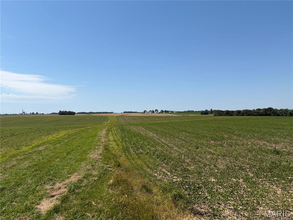 96.59 Acres Rock Road Bellflower, MO 63333 - Photo 14 of 21