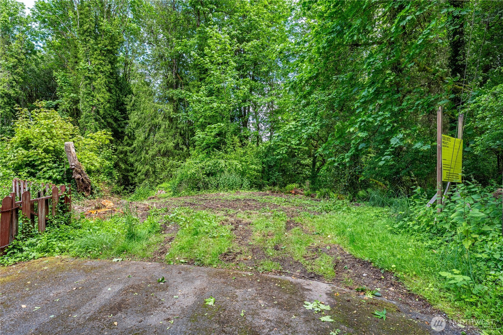 a view of a yard with plants and a trees in the background