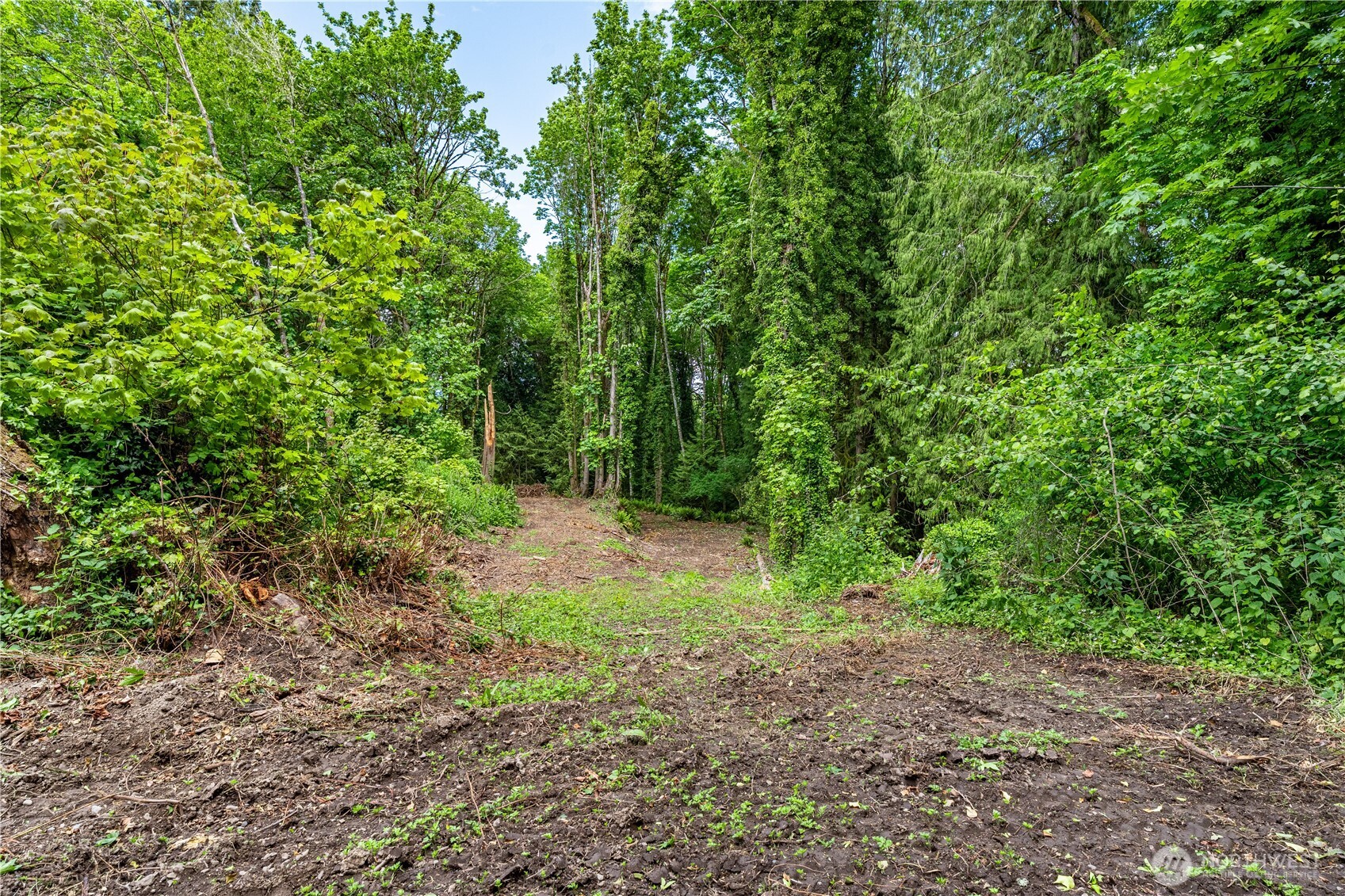 123 East 4th Street Port Orchard, WA 98366 - Photo 13 of 16 a view of a yard with a tree