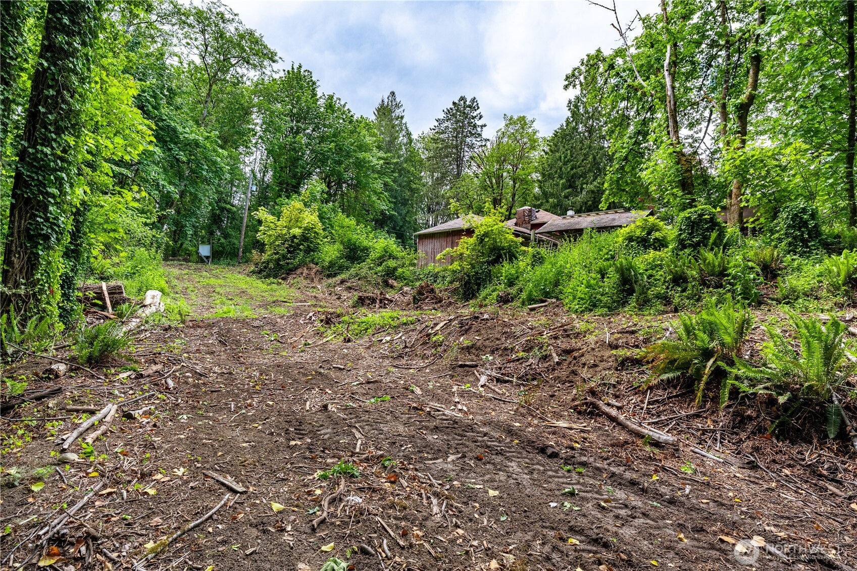 123 East 4th Street Port Orchard, WA 98366 - Photo 14 of 16 a view of yard with green space