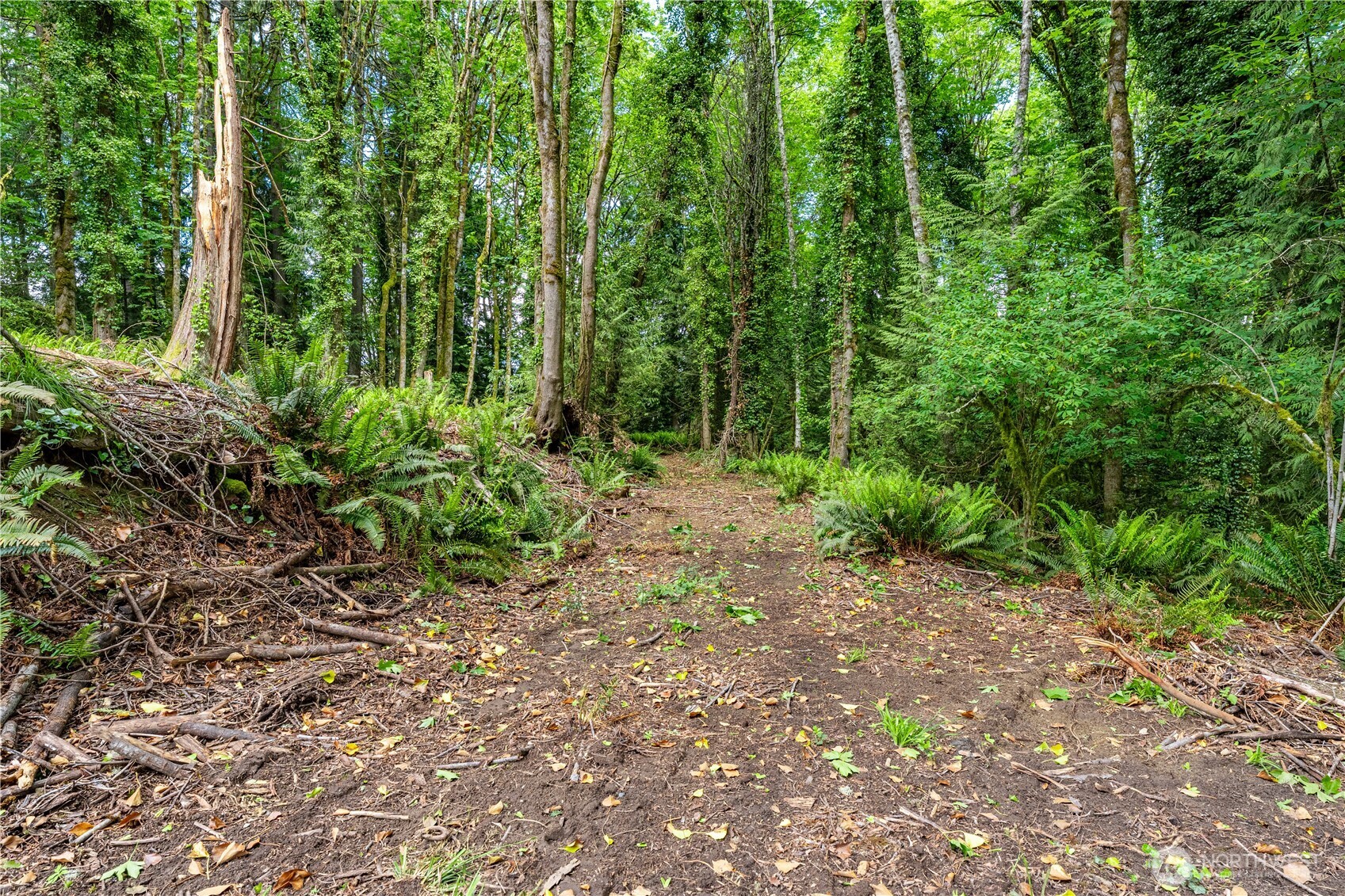123 East 4th Street Port Orchard, WA 98366 - Photo 15 of 16 a view of a garden with plants