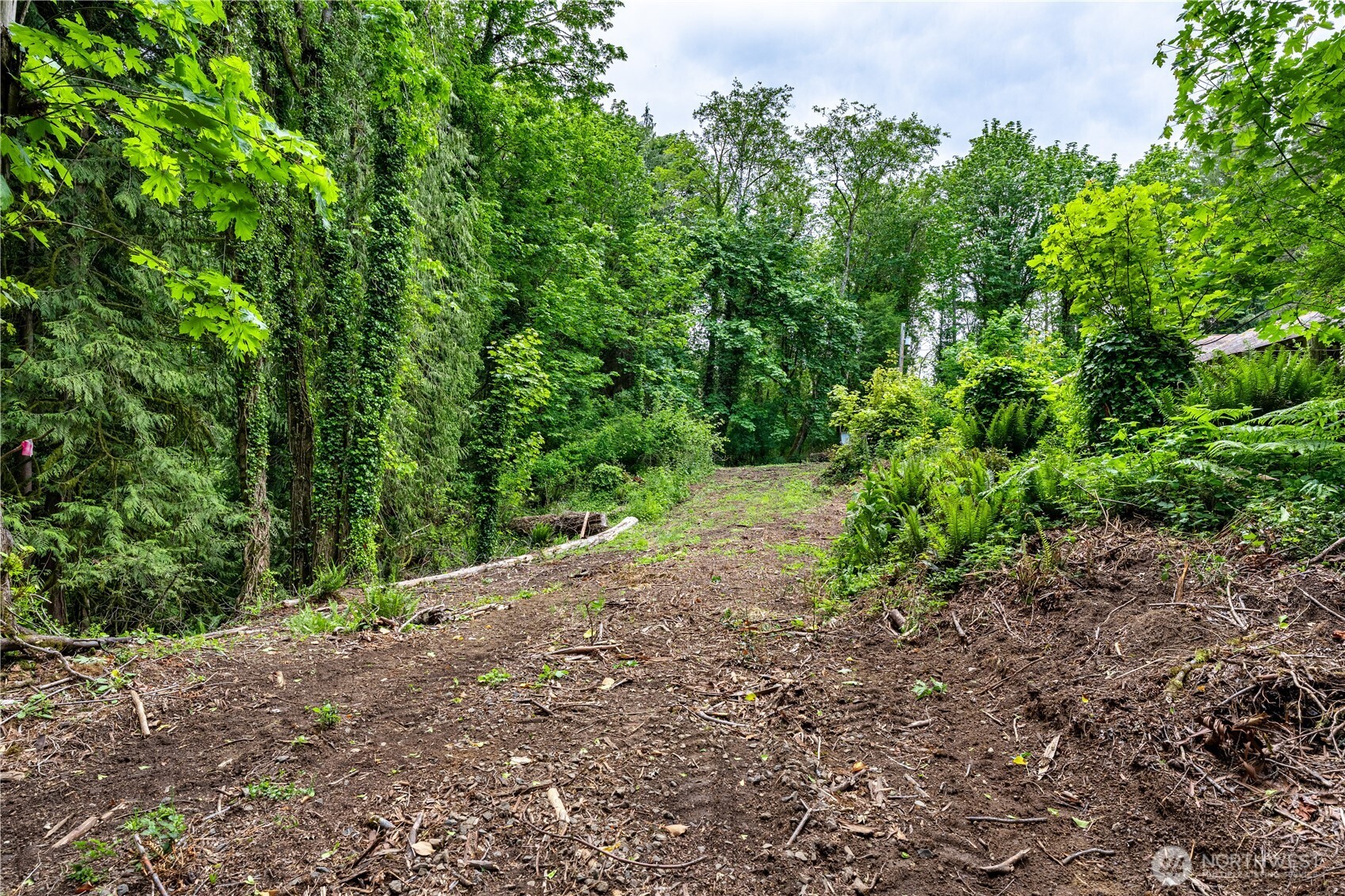 123 East 4th Street Port Orchard, WA 98366 - Photo 2 of 16 a view of a plants with large trees