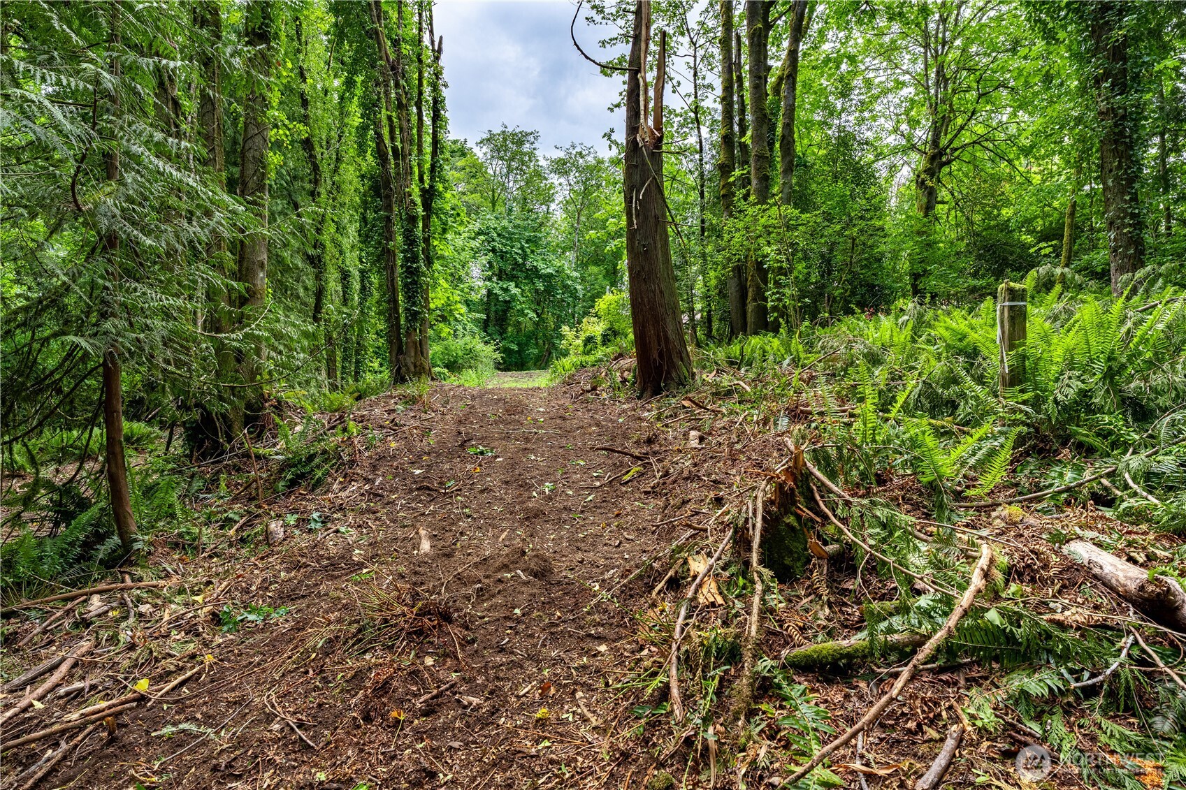 123 East 4th Street Port Orchard, WA 98366 - Photo 3 of 16 a view of a garden with trees