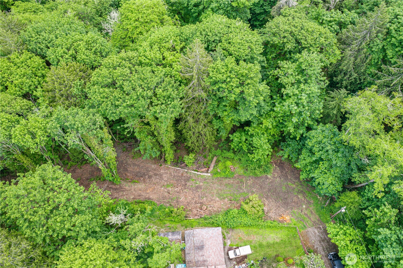 123 East 4th Street Port Orchard, WA 98366 - Photo 6 of 16 a view of a yard with plants and a large tree
