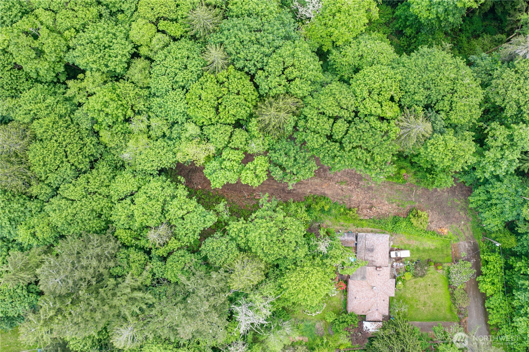 123 East 4th Street Port Orchard, WA 98366 - Photo 9 of 16 an aerial view of residential house with outdoor space and trees all around