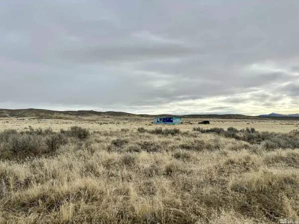 a close up of a tree