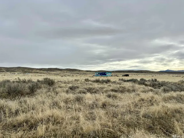 a close up of a tree