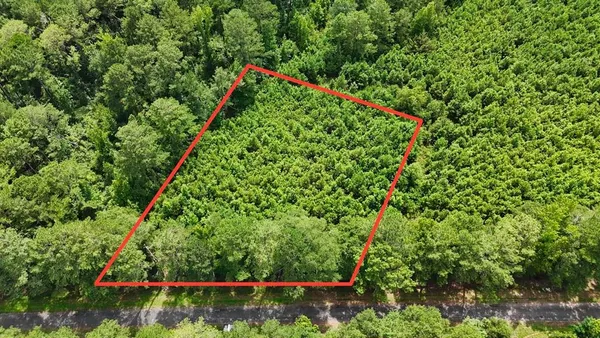 $15,000 | 1.32 County Road 7, Clio, AL 36017