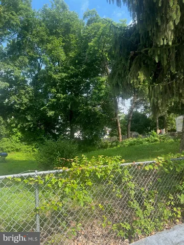 a view of a garden with a tree