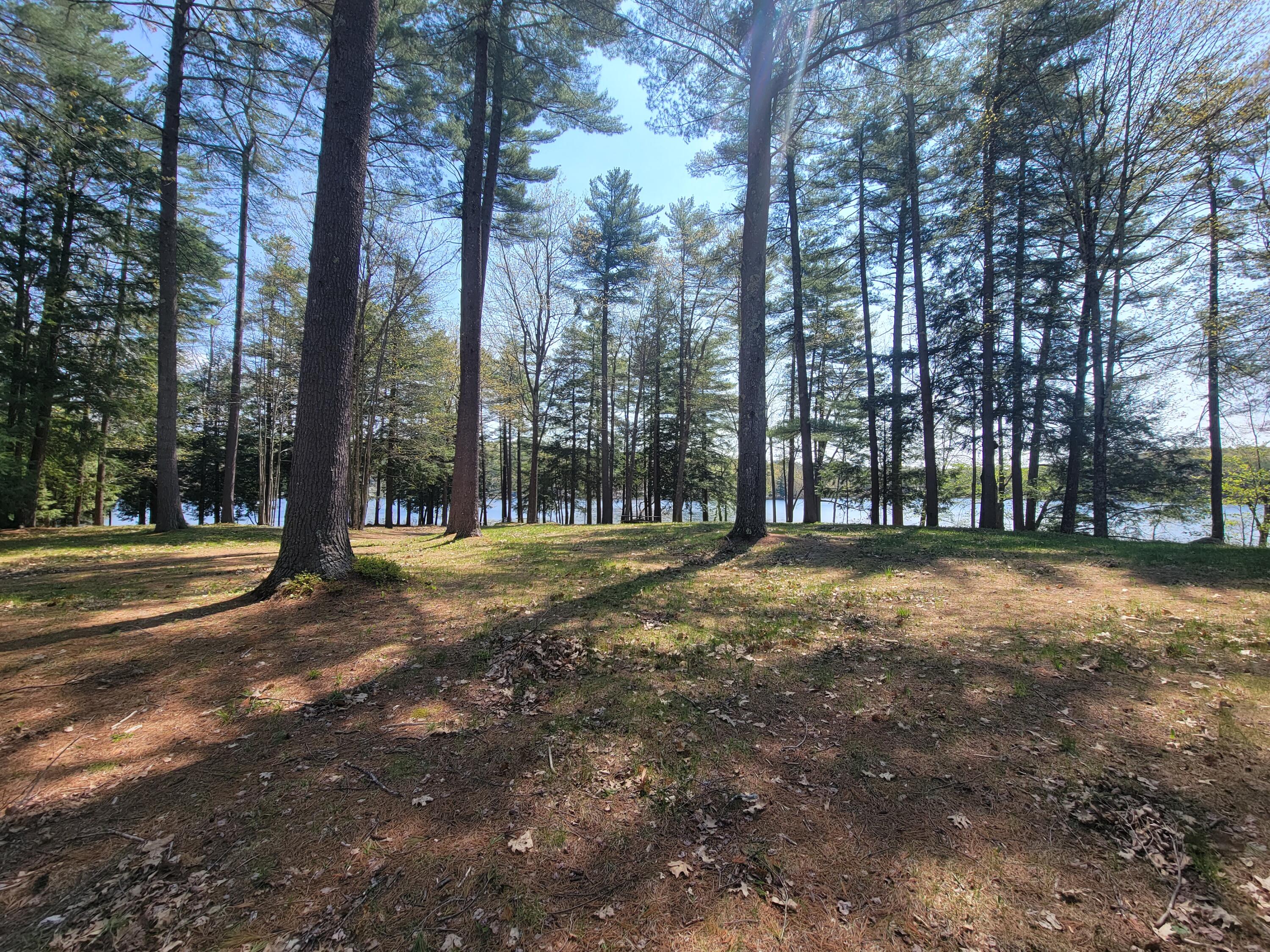 67 Island View Greene, ME 04236 - Photo 23 of 44 20230510_111043