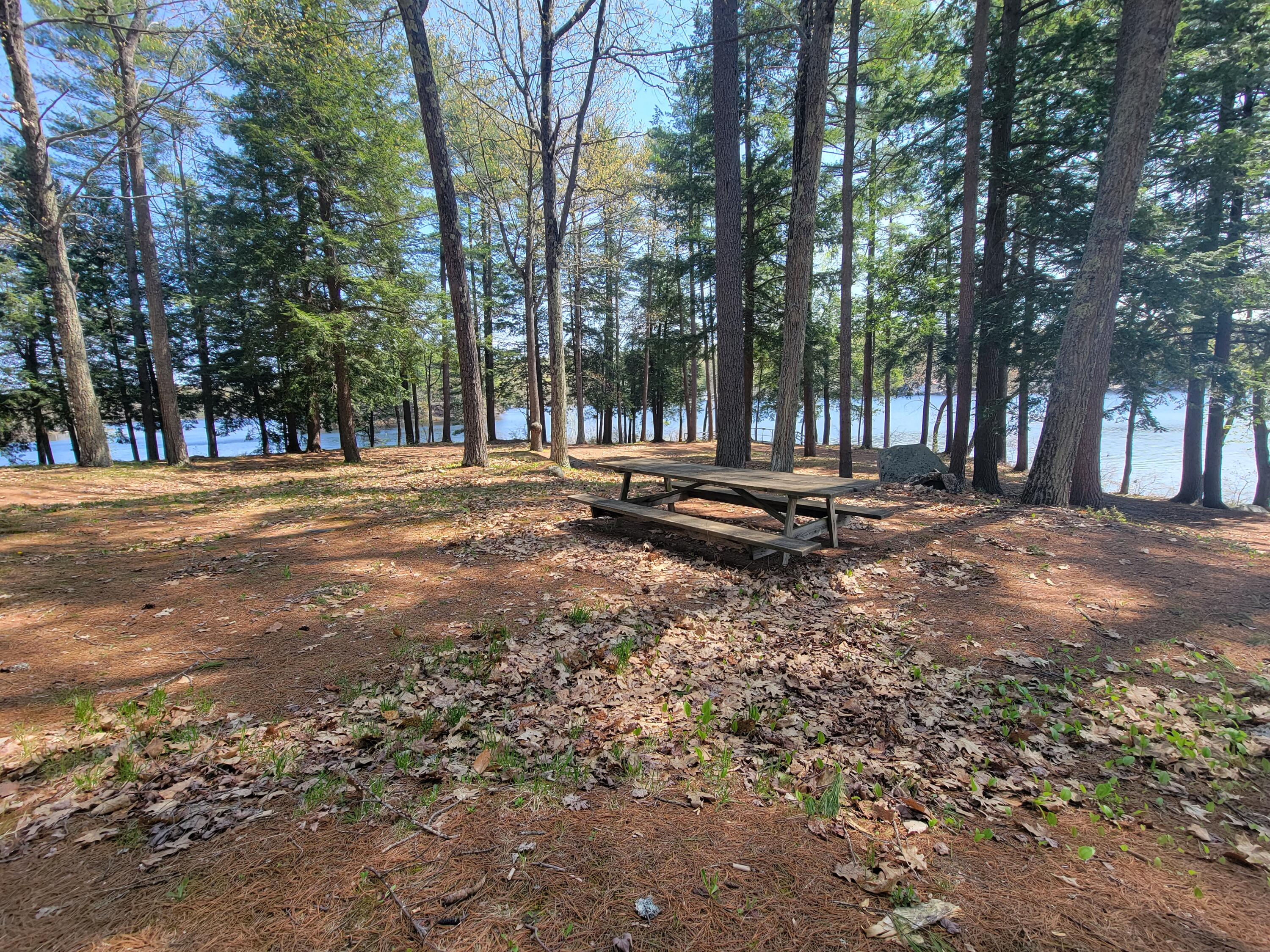 67 Island View Greene, ME 04236 - Photo 25 of 44 20230510_111141