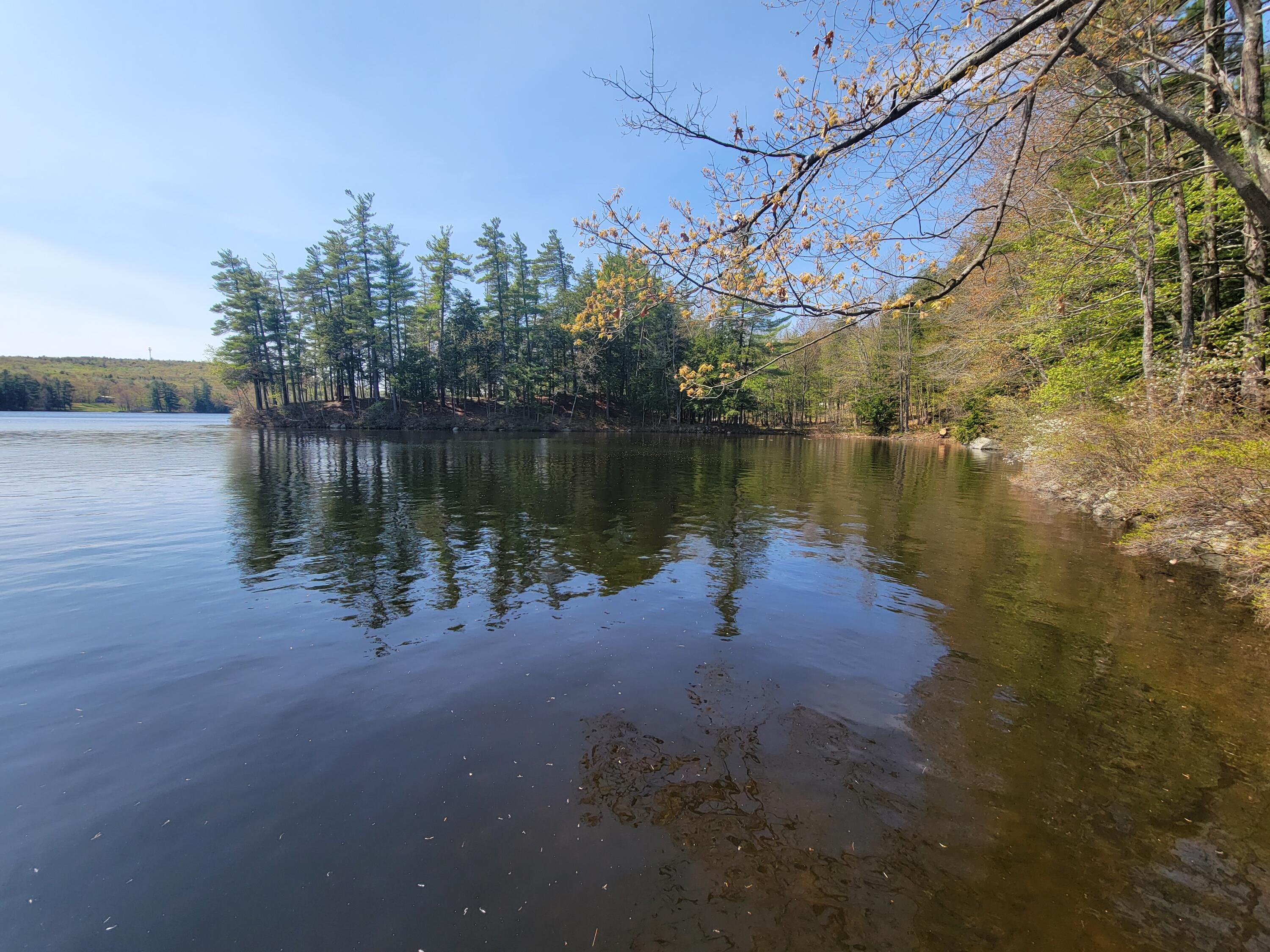 67 Island View Greene, ME 04236 - Photo 29 of 44 20230510_111228