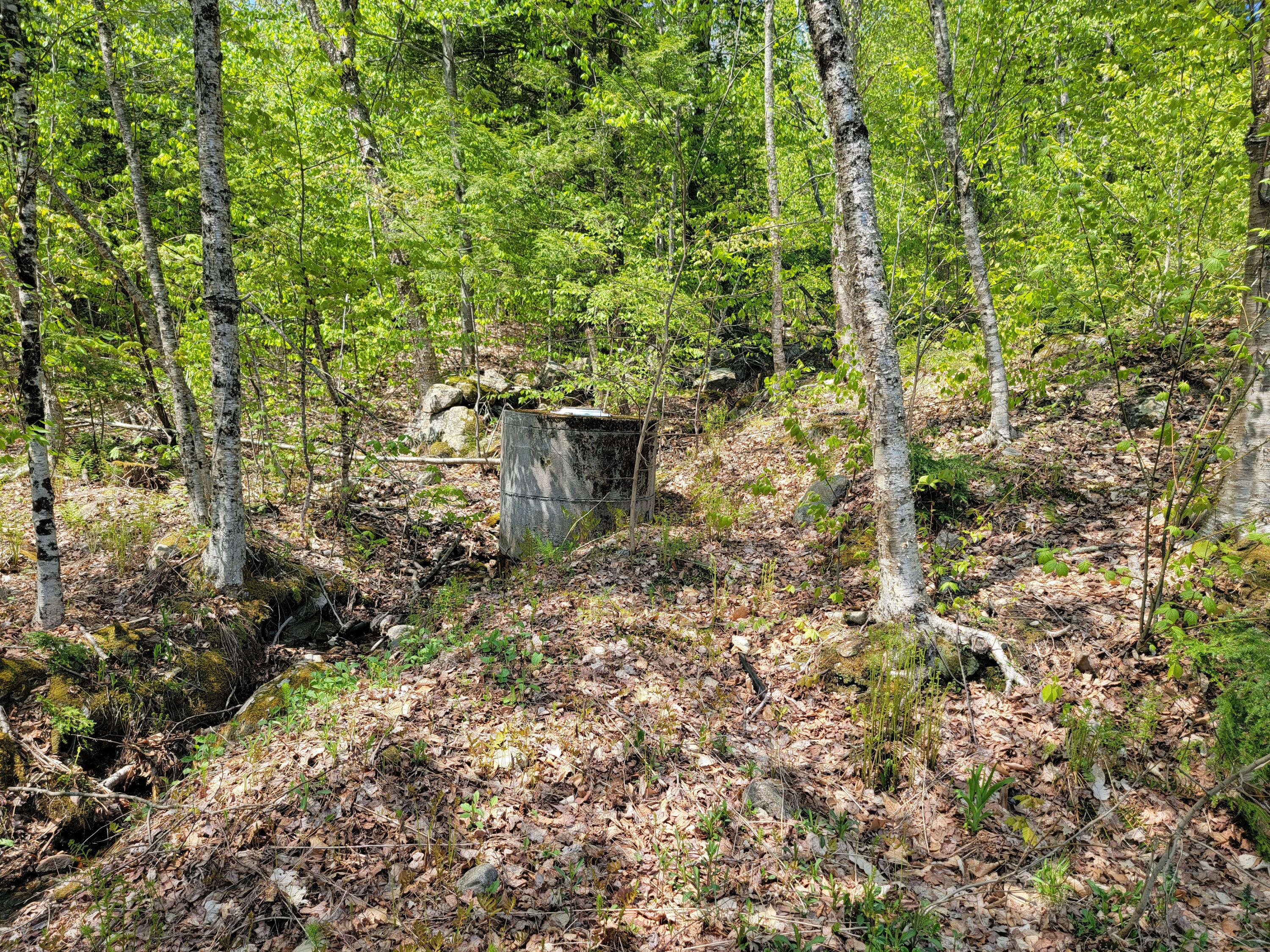 67 Island View Greene, ME 04236 - Photo 6 of 44 20230510_112613